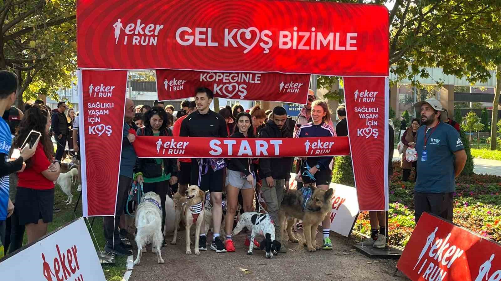 HÜDAVENDİGAR PARKI'NDA RENKLİ GÖRÜNTÜLERE SAHNE OLAN ETKİNLİKTE KATILIMCILAR, KÖPEKLERİYLE BİRLİKTE HEM SPOR YAPTI HEM DE SAHİPSİZ HAYVANLAR İÇİN FARKINDALIK OLUŞTURDU. BU YIL Kİ ETKİNLİKTE 10 ADET SAHİPSİZ KÖPEKTE KOŞUDA KENDİLERİNE EŞLİK EDEN KATILIMCILARLA BİRLİKTE KOŞTU.