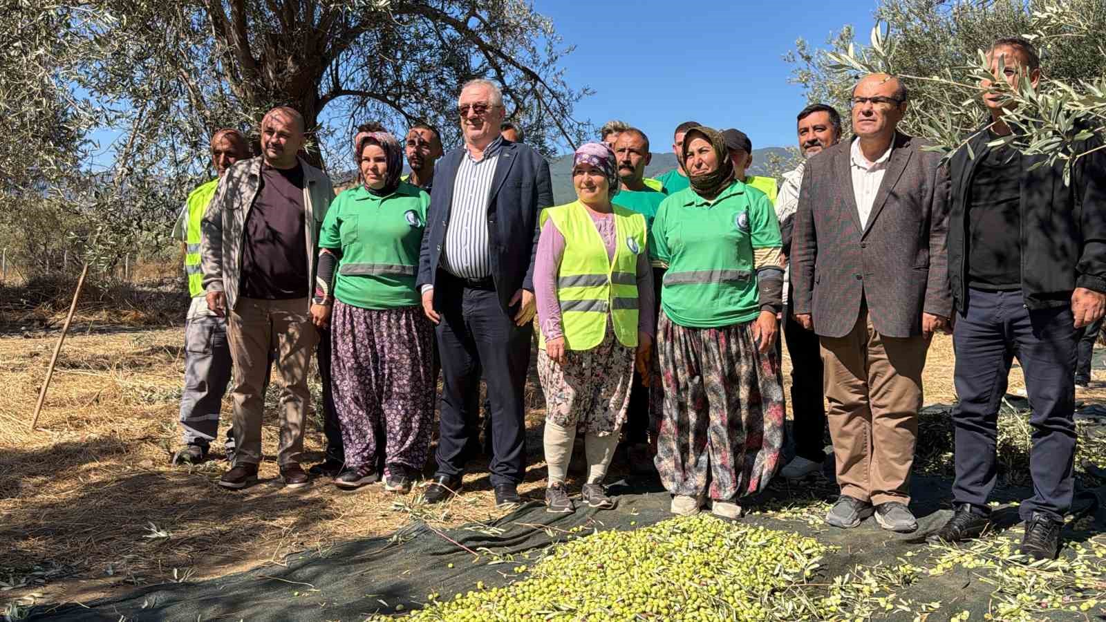 İLK SIKIMDA 100 KİLOGRAM ZEYTİNDEN 13,6 KİLOGRAM YAĞ ELDE EDİLDİĞİNİ AÇIKLAYAN ERTAŞ, BELEDİYENİN YAKLAŞIK 176 BİN ZEYTİN AĞACININ BULUNDUĞUNU İFADE ETTİ.