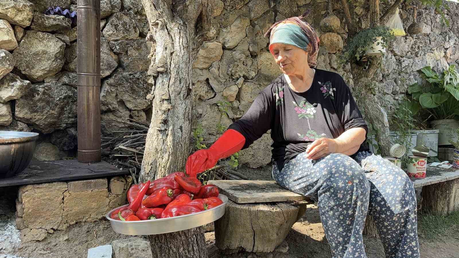SOĞUCAK KÖYÜNDE YAŞAYAN 75 YAŞINDAKİ RUKİYE DÜNDAR, KIŞLIK SALÇA KAYNATMANIN VAKTİNİN GELDİĞİNİ SÖYLEYEREK YILLARDIR UYGULADIĞI SALÇA YAPIMI TARİFİNİ VERDİ.