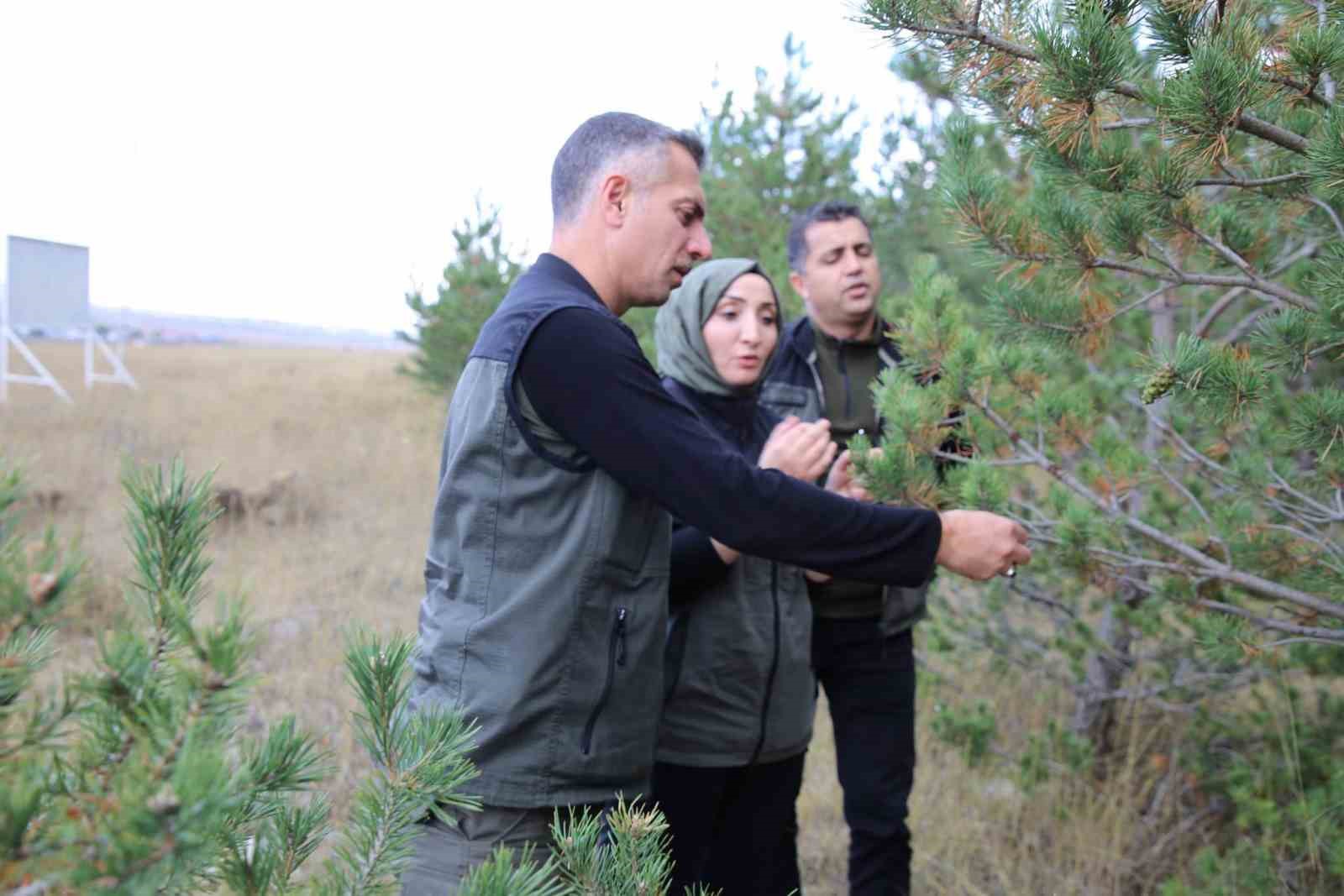 KARS’A YENİ YEŞİL YAŞAM ALANI GELİYOR: KENT ORMANI İÇİN DÜĞMEYE BASILDI(KARS-İHA)
