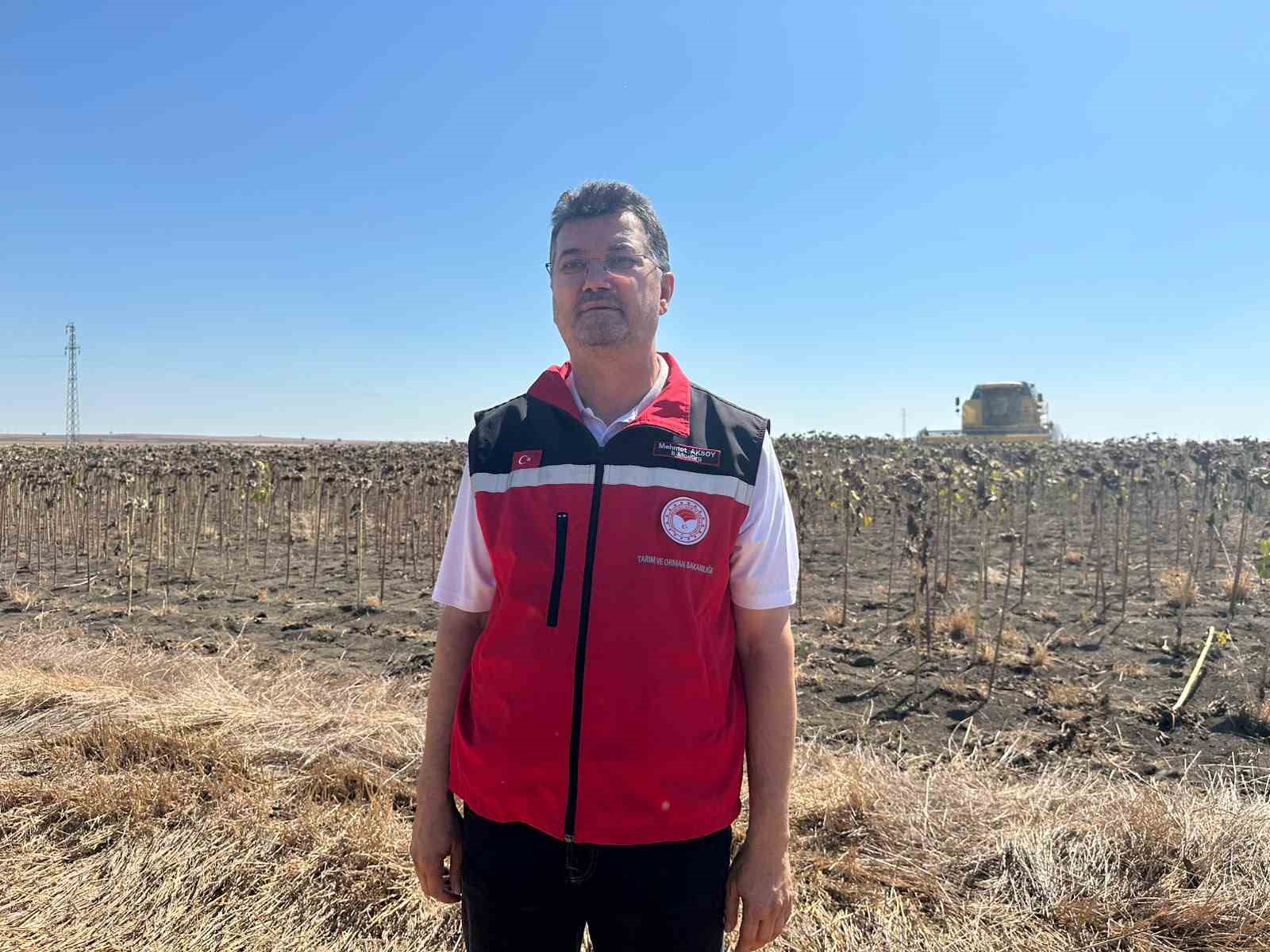TEKİRDAĞ İL TARIM VE ORMAN MÜDÜRÜ MEHMET AKSOY, ÇALIŞMANIN TEMEL AMACININ DEĞİŞEN İKLİM KOŞULLARININ TARIMSAL ÜRETİMDE OLUŞTURDUĞU ETKİLERİ SAHADA ORTAYA KOYMAK OLDUĞUNU BELİRTTİ.