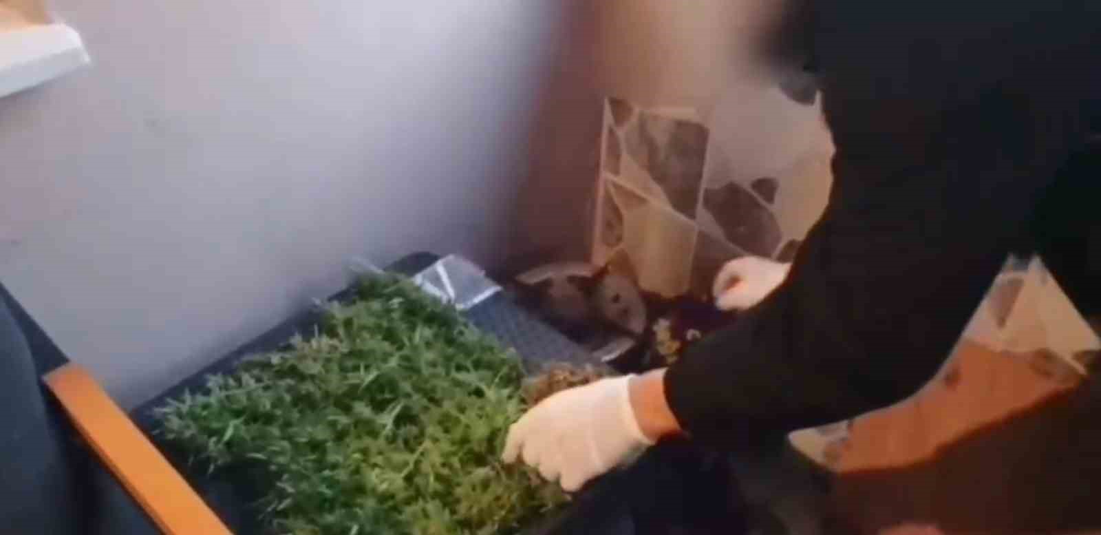 SAKARYA'DA POLİS EKİPLERİNCE 3 İLÇEDE 272 PERSONELİN KATILIMIYLA DÜZENLENEN 'SOKAKLAR GÜVENDE' OPERASYONLARINDA 19 ŞÜPHELİ YAKALANDI. YAPILAN ARAMALARDA ÇOK SAYIDA UYUŞTURUCU MADDE, SİLAH VE MÜHİMMAT ELE GEÇİRİLDİ.