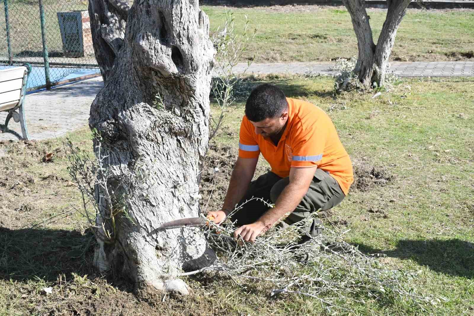 KUŞADASI BELEDİYESİ EKİPLERİ, KENT GENELİNDEKİ PARK, BAHÇE VE YEŞİL ALANLARDA BAKIM VE DÜZENLEME ÇALIŞMALARI GERÇEKLEŞTİRİRKEN, KENT MOBİLYALARI İLE ÇOCUK OYUN ALANLARINDA DA BAKIM VE ONARIM YAPIYOR.