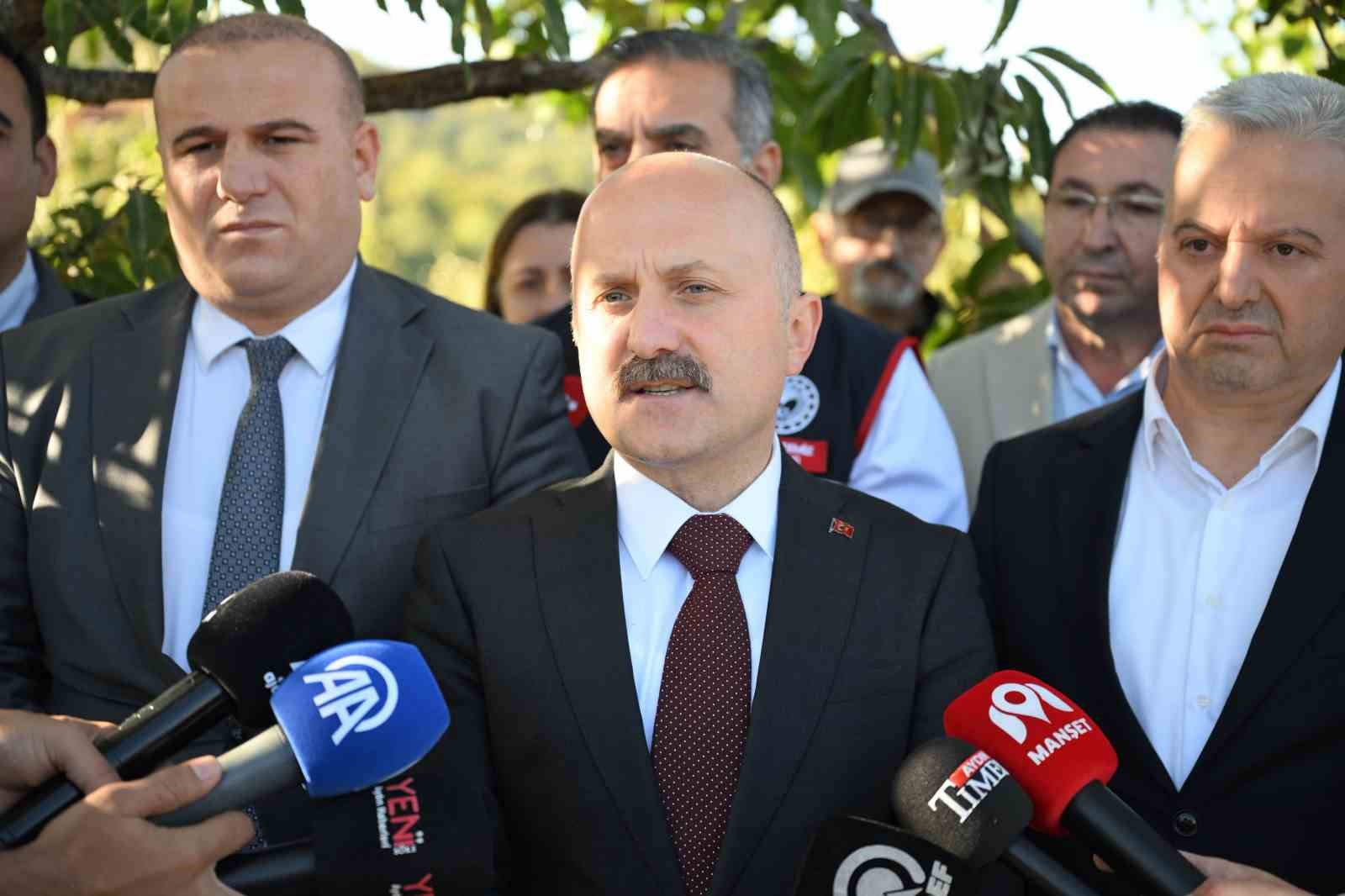 AVRUPA BİRLİĞİ TARAFINDAN COĞRAFİ İŞARET TESCİLİYLE KORUNAN AYDIN KESTANESİNDE HASAT HEYECANI YAŞANIRKEN, 25 BİN 362 TONLUK ÜRETİMLE TÜRKİYE KESTANESİNİN YÜZDE 31'İNİ KARŞILAYAN AYDIN, ÜLKE GENELİNDE İKİNCİ SIRADA YER ALIYOR. AYDIN VALİSİ OSMAN VAROL DA ÜRETİCİLERLE BİR ARAYA GELEREK HASAT ÇALIŞMALARINA EŞLİK ETTİ.