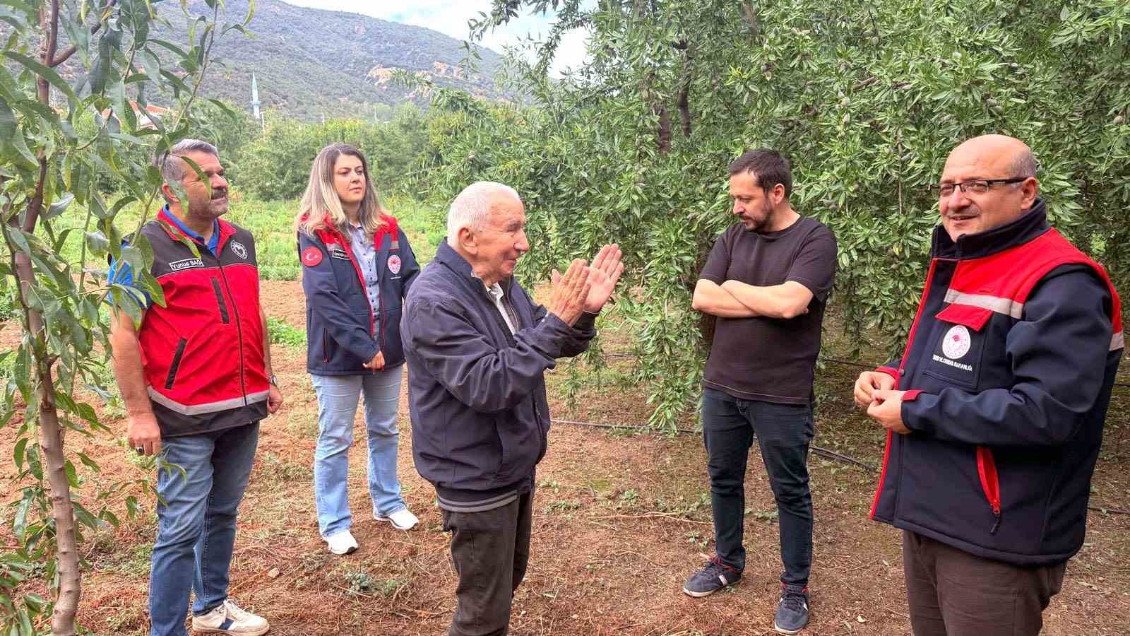 KİRAZ ÜRETİMİYLE TÜRKİYE’NİN ÖNEMLİ MERKEZLERİNDEN BİRİ OLAN AKŞEHİR’DE, ARTAN İŞÇİLİK VE PAZARLAMA SORUNLARI ÜRETİCİLERİ ALTERNATİF ÜRÜNLERE YÖNLENDİRİYOR. İLÇE TARIM VE ORMAN MÜDÜRLÜĞÜ, FERRAGNES, FERRADUEL VE MAKAKO GİBİ BADEM ÇEŞİTLERİNİN AKŞEHİR COĞRAFYASINDA DEĞERLENDİRİLEBİLECEĞİNİ BELİRTİRKEN, YARENLER MAHALLESİ’NDE BADEM ÜRETİMİ YAPAN EMEKLİ ÖĞRETMEN TAHSİN ZEREK’İN 7 YILLIK BAHÇESİNDEKİ SONUÇLAR DİKKAT ÇEKİYOR.