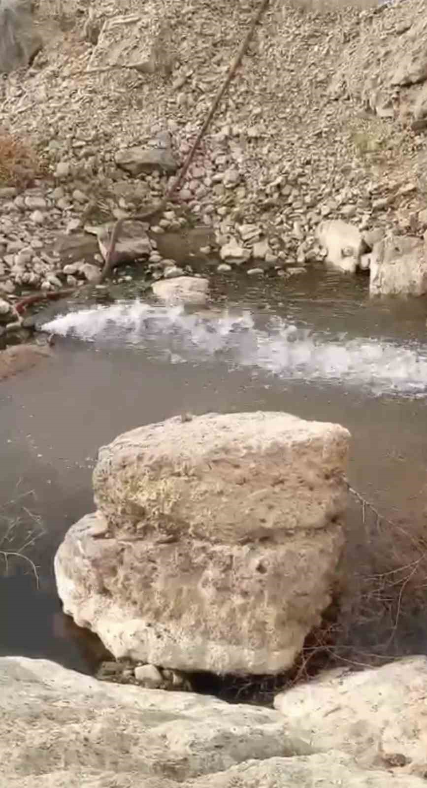 HAKKARİ'NİN YÜKSEKOVA İLÇESİNDE KURAKLIK NEDENİYLE SU SEVİYESİ DÜŞEN NEHİL SAZLIĞI’NDA ÇAMUR İÇERİSİNDE KIVRANAN BALIKLAR İÇİN TANKER TANKER SU TAŞINDI.