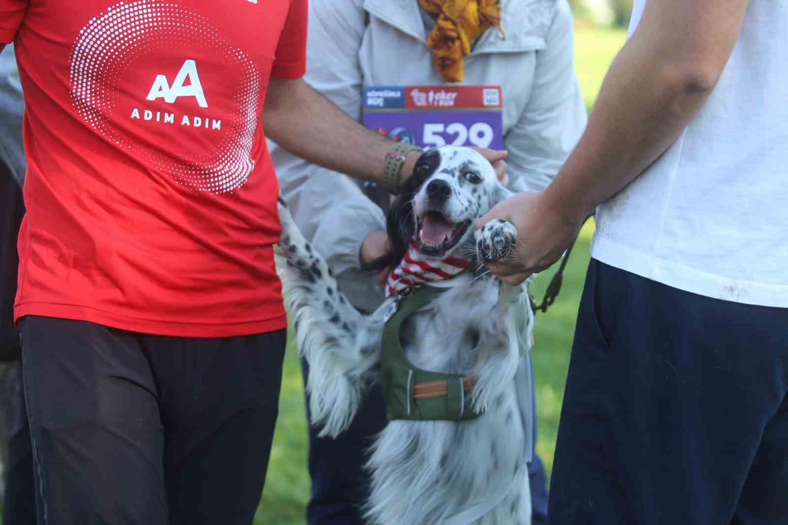 BURSA'DA BU YIL 13'ÜNCÜSÜ DÜZENLENEN EKER I RUN KAPSAMINDA İLK KEZ GERÇEKLEŞTİRİLEN "KÖPEĞİNLE KOŞ" ETKİNLİĞİ, YÜZLERCE HAYVANSEVER İLE PATİLİ DOSTLARINI AYNI PARKURDA BULUŞTURDU.