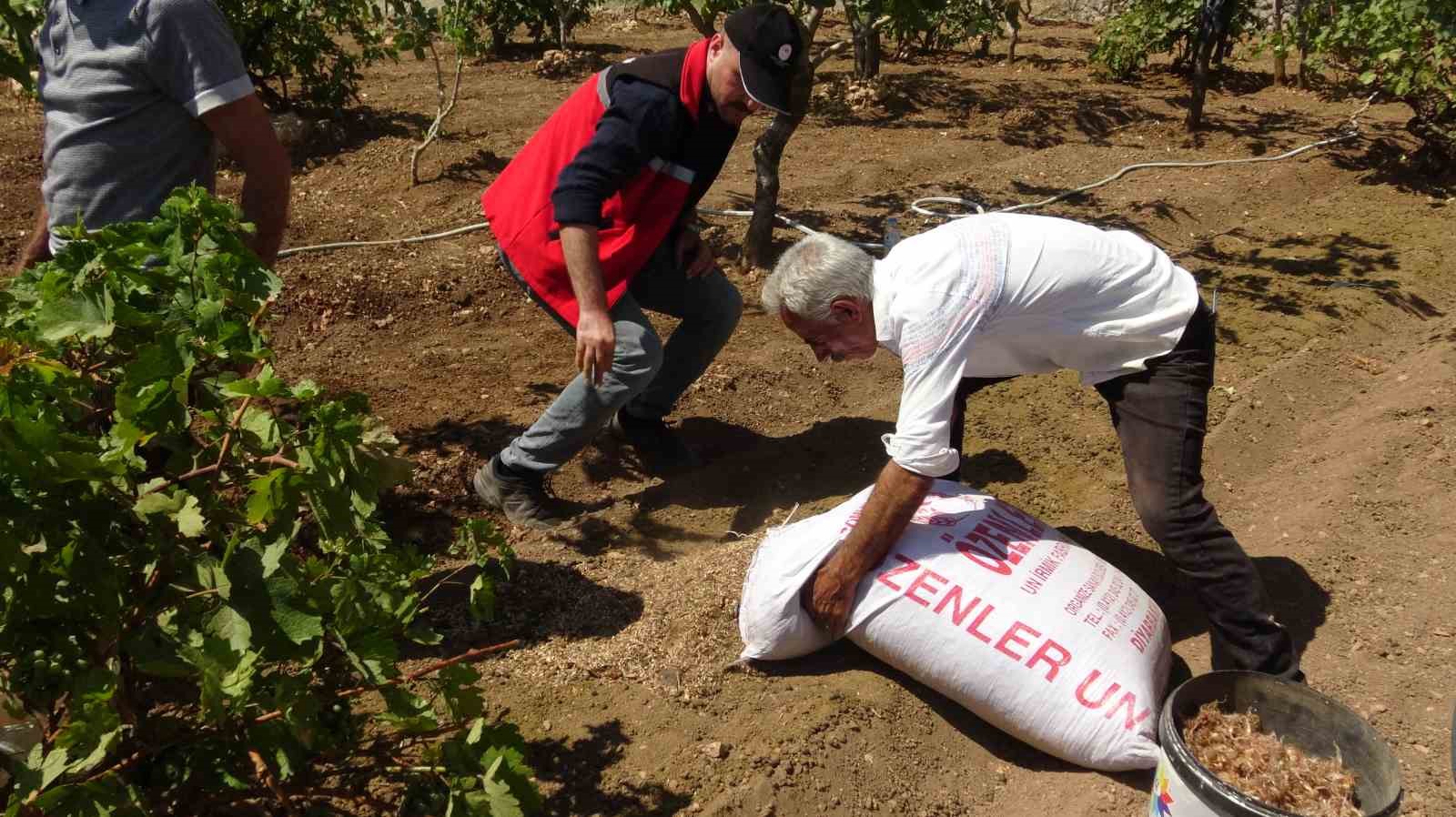 BATMAN'IN GERCÜŞ İLÇESİNE BAĞLI POYRAZ KÖYÜNDE YAŞAYAN ÇİFTÇİ MEHMET SALİH DEMİR, İNTERNETTE GÖRDÜĞÜ SAFRAN BİTKİSİNİ MERAK EDEREK BAŞLADIĞI DENEME EKİMİNDEN YÜKSEK VERİM ALDI.