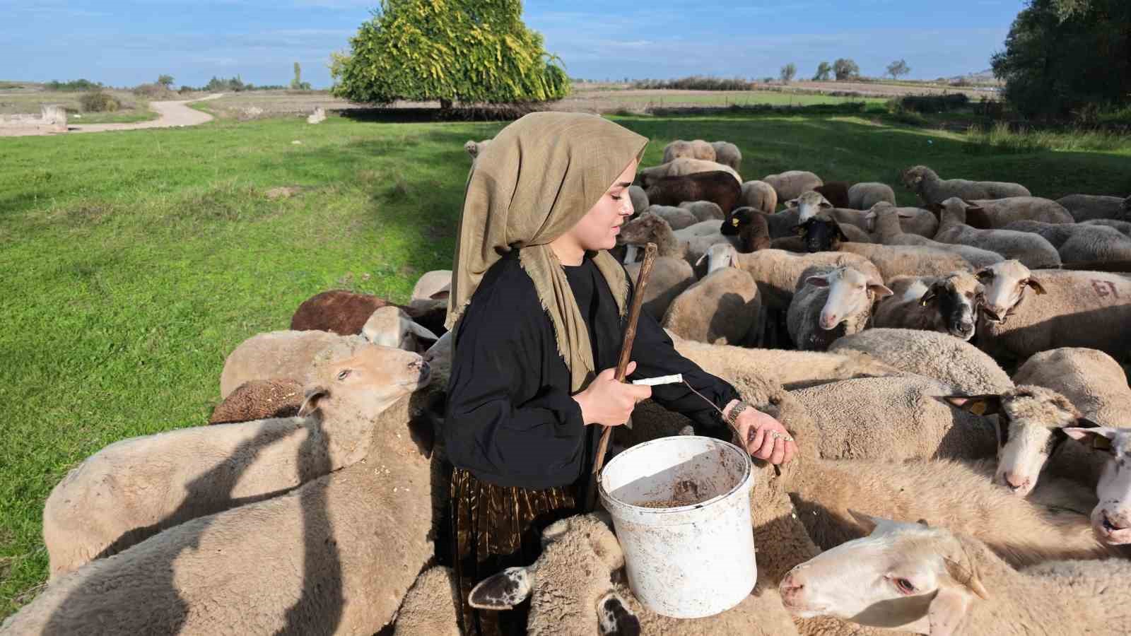 ÇOCUKLUĞUNDAN BERİ BU İŞİNDE OLDUĞUNU DİLE GETİREN SUEDA DEMİRCİ, "BEN ÇOCUKLUĞUMDAN BERİ BU İŞİN İÇERİSİNDEYİM. AİLE OLARAK ÇİFTÇİLİK VE HAYVANCILIKLA UĞRAŞIYORUZ. DAHA ÖNCE BÜYÜKBAŞ HAYVANLARIMIZ VARDI. BEN DE OKULA GİDERKEN BİLE HAYVANLARIMIZLA İLGİLENİYORDUM. YANİ SÜREKLİ BU İŞİN İÇİNDE BÜYÜDÜM" DEDİ.