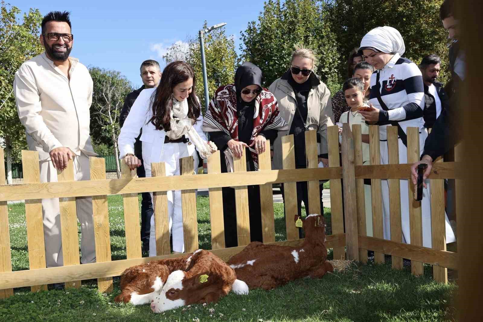 BEYKOZ BELEDİYESİ TARAFINDAN 4 EKİM DÜNYA HAYVANLARI KORUMA GÜNÜ KAPSAMINDA "HER CANA DEĞER" SLOGANIYLA BEYKOZ YAŞAM FESTİVALİ DÜZENLENDİ. FESTİVALDE ÇOCUKLAR VE AİLELER, HAYVAN SEVGİSİ VE DOĞA TEMASI ETRAFINDA ÇEŞİTLİ ETKİNLİKLERDE BİR ARAYA GELDİ.