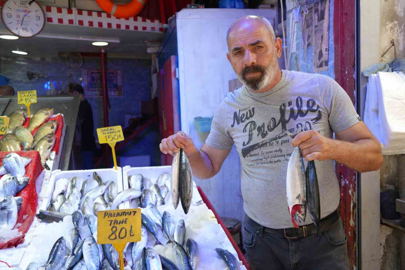 SAMSUN’DA BALIK TEZGAHLARI, GEÇEN YILLARIN AYNI DÖNEMİNE KIYASLA PALAMUTLARLA DOLUP TAŞIYOR.
