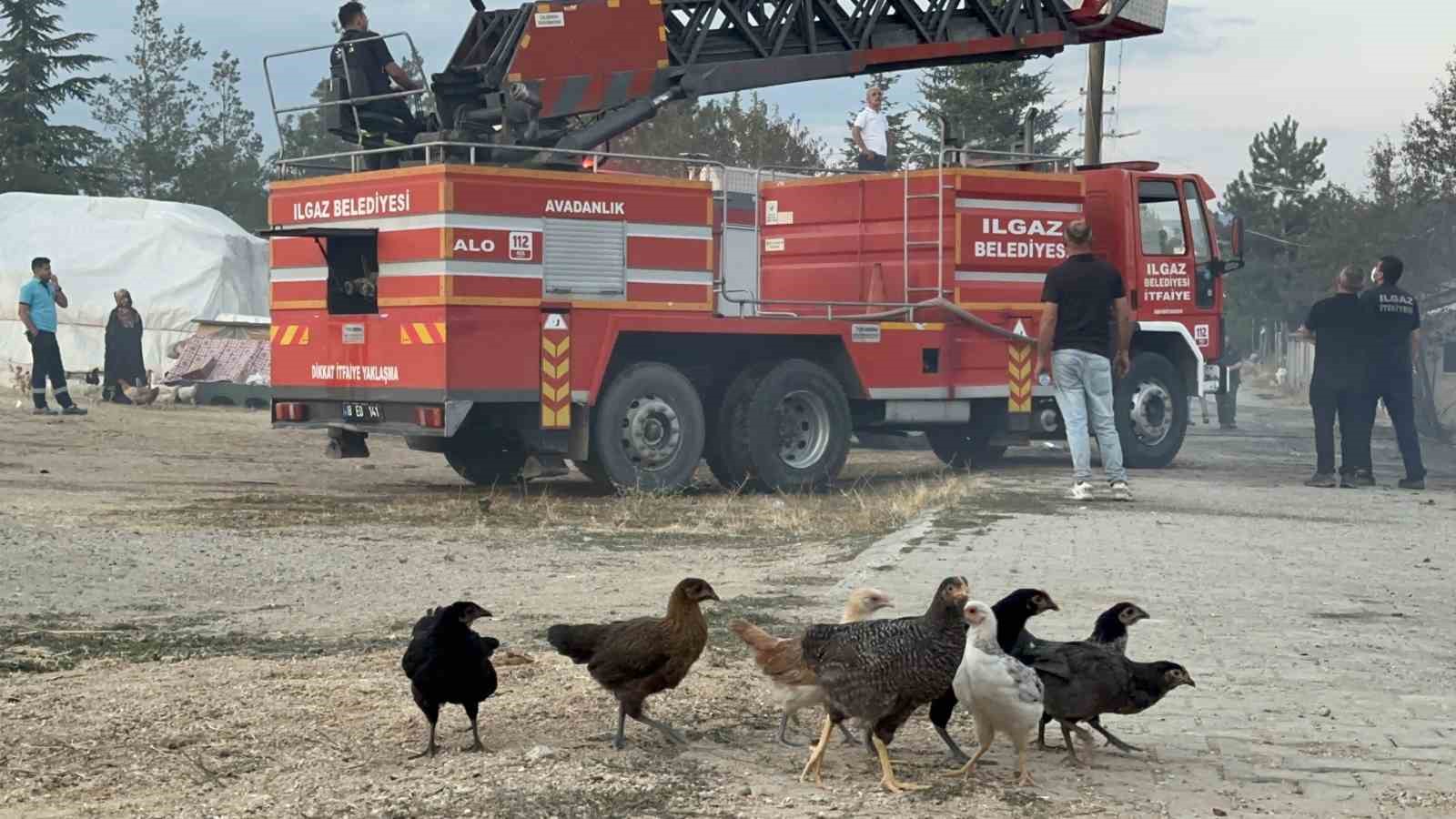 TAVUKLAR VATANDAŞLAR TARAFINDAN KURTARILDI.