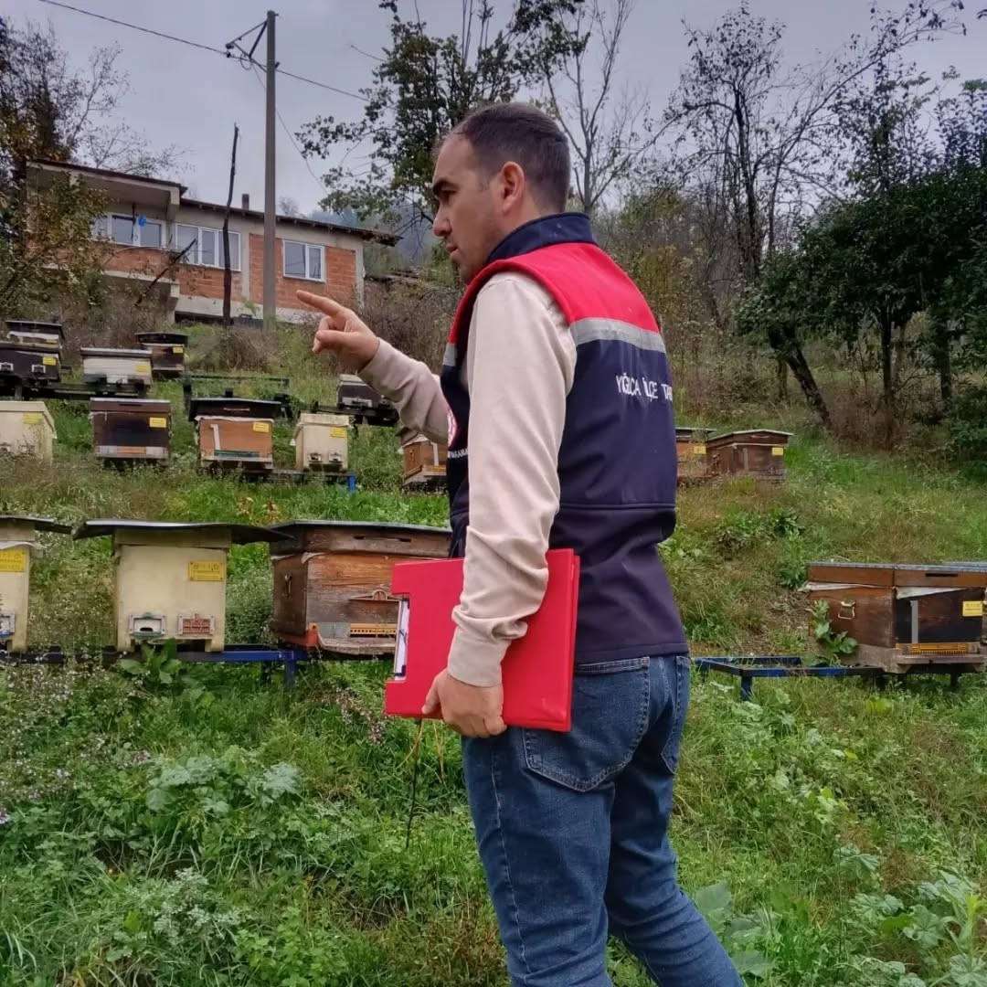 DÜZCE’NİN YIĞILCA İLÇESİNDE VETERİNER HEKİMLER TARAFINDAN ARILI KOVAN SAYIMI GERÇEKLEŞTİRİLDİ. ÇALIŞMAYLA BÖLGEDEKİ ARICILIK FAALİYETLERİNE İLİŞKİN MEVCUT DURUMUN BELİRLENMESİ AMAÇLANDI.