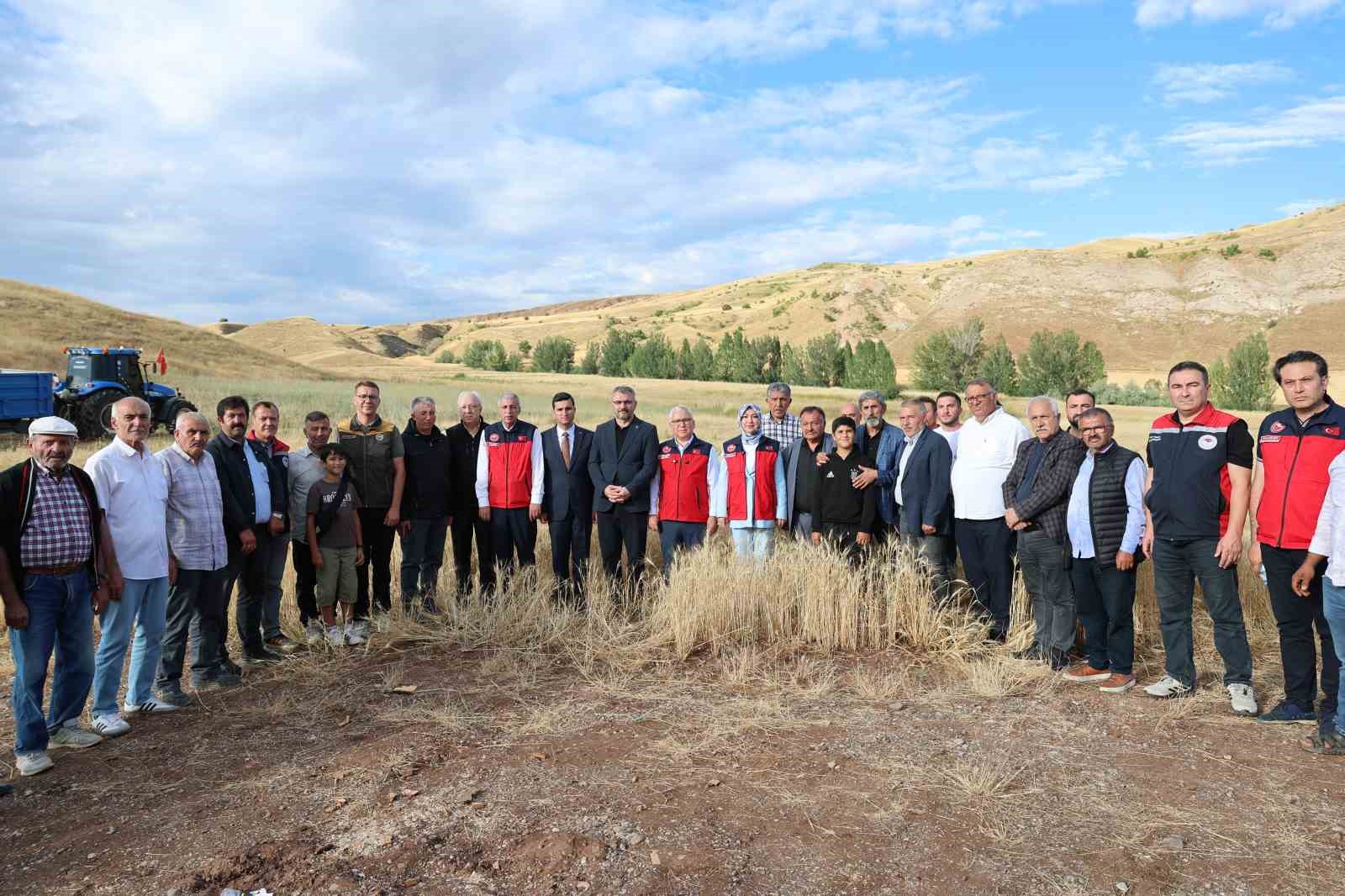 TÜRKİYE’NİN ÖNEMLİ HUBUBAT ÜRETİM MERKEZLERİNDEN SİVAS’TA ARPA VE BUĞDAY HASADI SÜRÜYOR. İNCEYOL KÖYÜNDE DÜZENLENEN PROGRAMDA BİÇERDÖVERİN BAŞINA GEÇEN SİVAS VALİSİ YILMAZ ŞİMŞEK, ÇİFTÇİLERLE BİRLİKTE HASAT YAPTI.