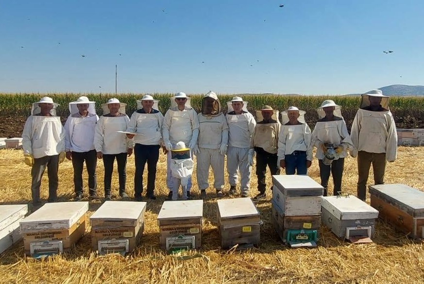 MANİSA’NIN SARUHANLI İLÇESİNDE KAYMAKAM FATİH ÖZCAN, HALİTPAŞA MAHALLESİ’NDE GERÇEKLEŞTİRİLEN BAL HASADINA KATILDI. SARUHANLI İLÇE TARIM VE ORMAN MÜDÜRÜ ALİ TUNÇEL’İN DE YER ALDIĞI HASATTA ÖZCAN, KOVANDAN BAL SAĞIMI VE SÜZME İŞLEMİNİ GERÇEKLEŞTİRİRKEN, TUNÇEL’DEN İLÇEDEKİ ARICILIK FAALİYETLERİ HAKKINDA BİLGİ ALDI.