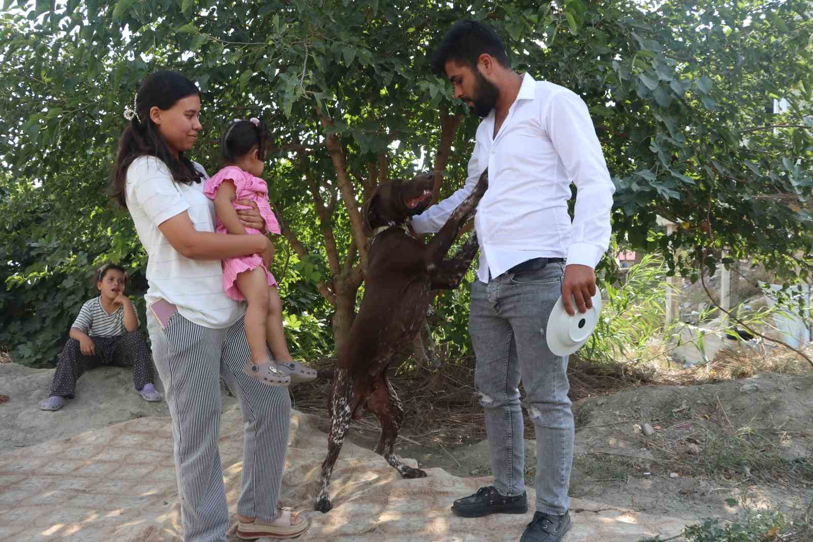 ADANA’DA BİR ÇİFTÇİNİN KÖPEĞİ, KOMŞUSU TARAFINDAN SOPAYLA DARBEDİLDİ. KÖPEĞİN SAHİBİ KOMŞUSUNDAN ŞİKAYETÇİ OLURKEN, OLAY GÜVENLİK KAMERASINA SANİYE SANİYE YANSIDI.