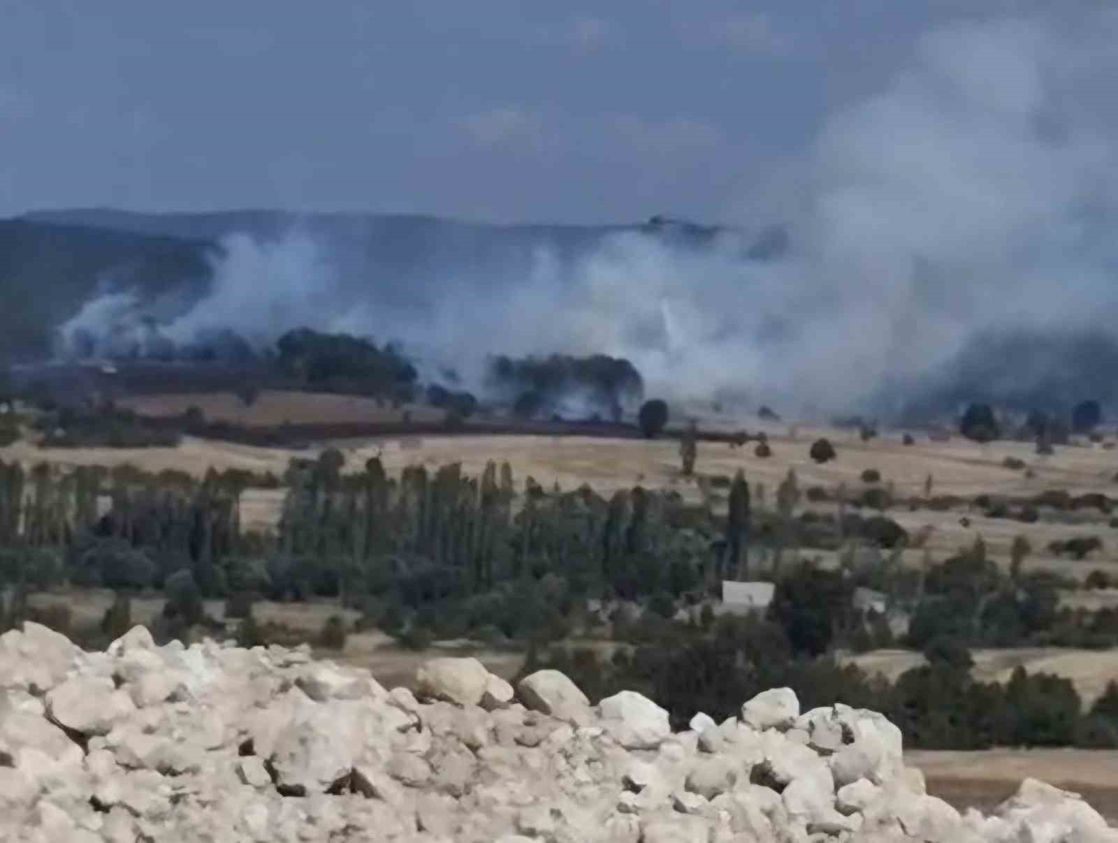 EMET’TE ORMANLIK ALANA SIÇRAYAN YANGIN KONTROL ALTINA ALINDI