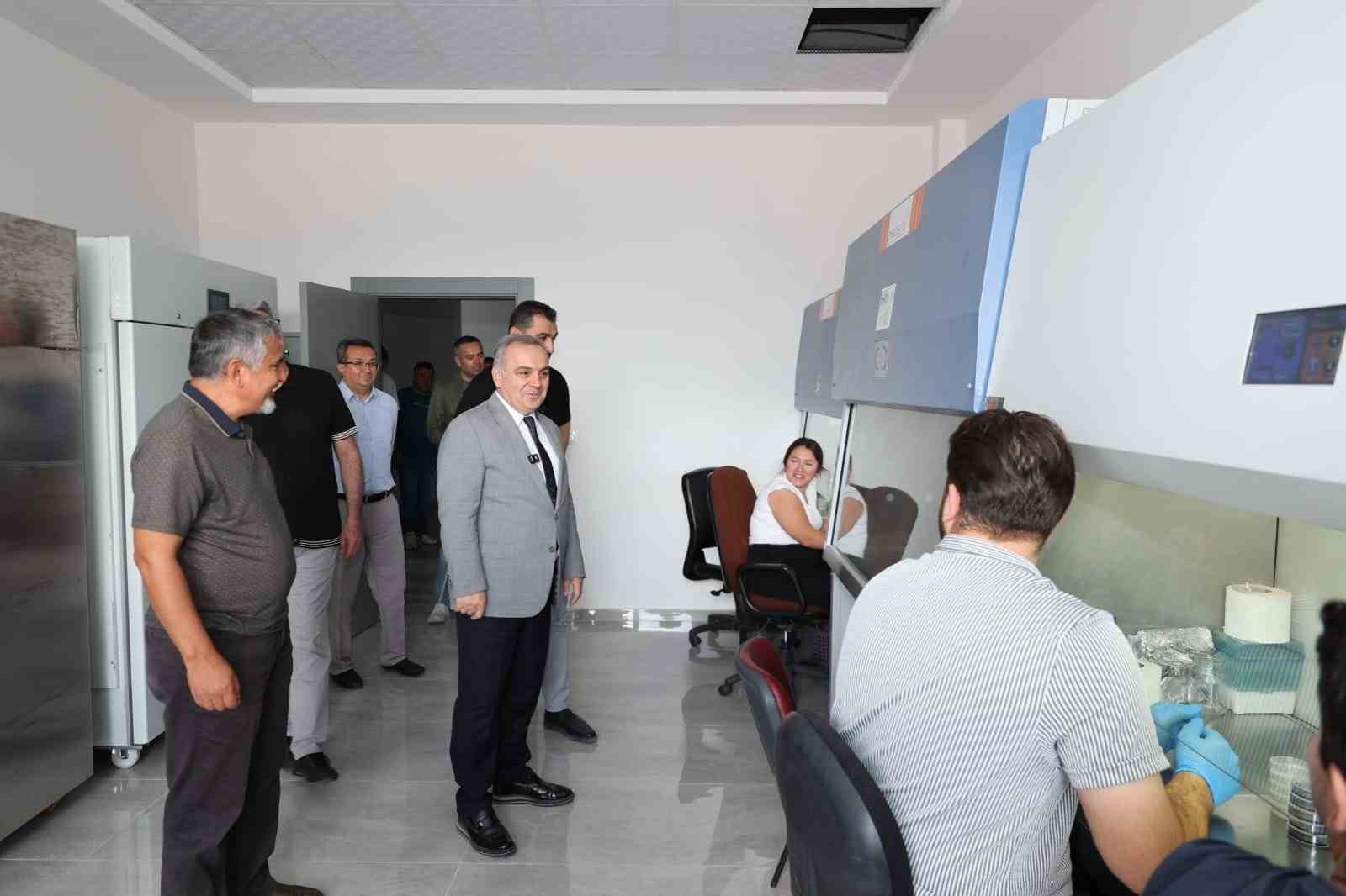 ERCİYES ÜNİVERSİTESİ ZİRAAT FAKÜLTESİNE KAZANDIRILAN VE TOPLAM 21 LABORATUVARDAN OLUŞAN MEHMET ÇIKRIKÇIOĞLU LABORATUVAR BİNASI AÇILIŞA HAZIRLANIYOR. YAKLAŞIK 65 MİLYON TL MALİYETLE HAYATA GEÇİRİLEN LABORATUVARIN, FAKÜLTENİN BİLİMSEL ARAŞTIRMA VE UYGULAMA ALTYAPISINA ÖNEMLİ KATKI SAĞLAMASI HEDEFLENİYOR.