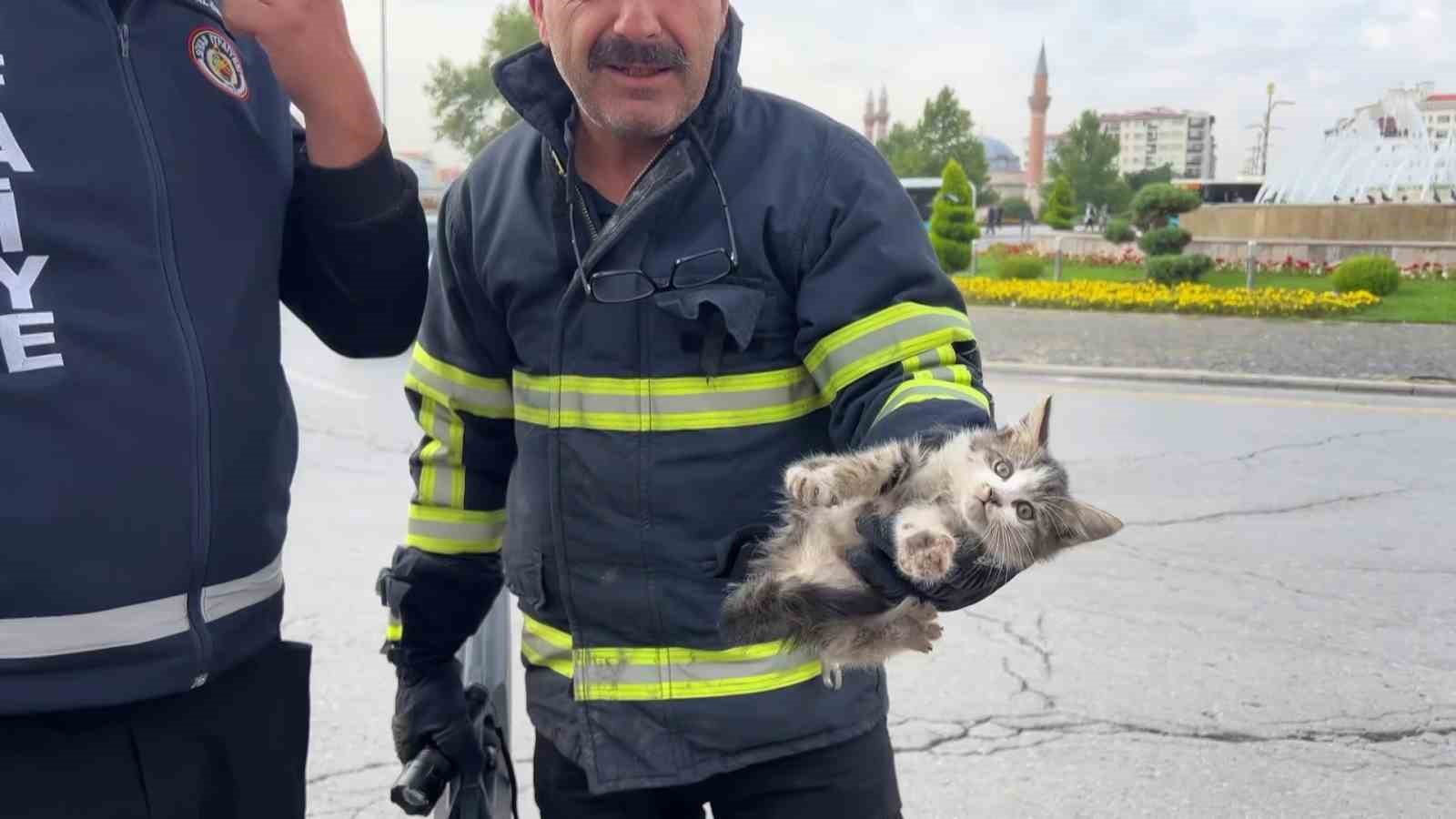 SİVAS’TA SEYİR HALİNDEKİ ARACIN SÜRÜCÜSÜ, KAPUTUN ALTINDAN SES GELDİĞİNİ FARK ETTİ. MOTOR AKSAMINDA SIKIŞAN YAVRU KEDİYİ İTFAİYE EKİPLERİ KURTARDI.