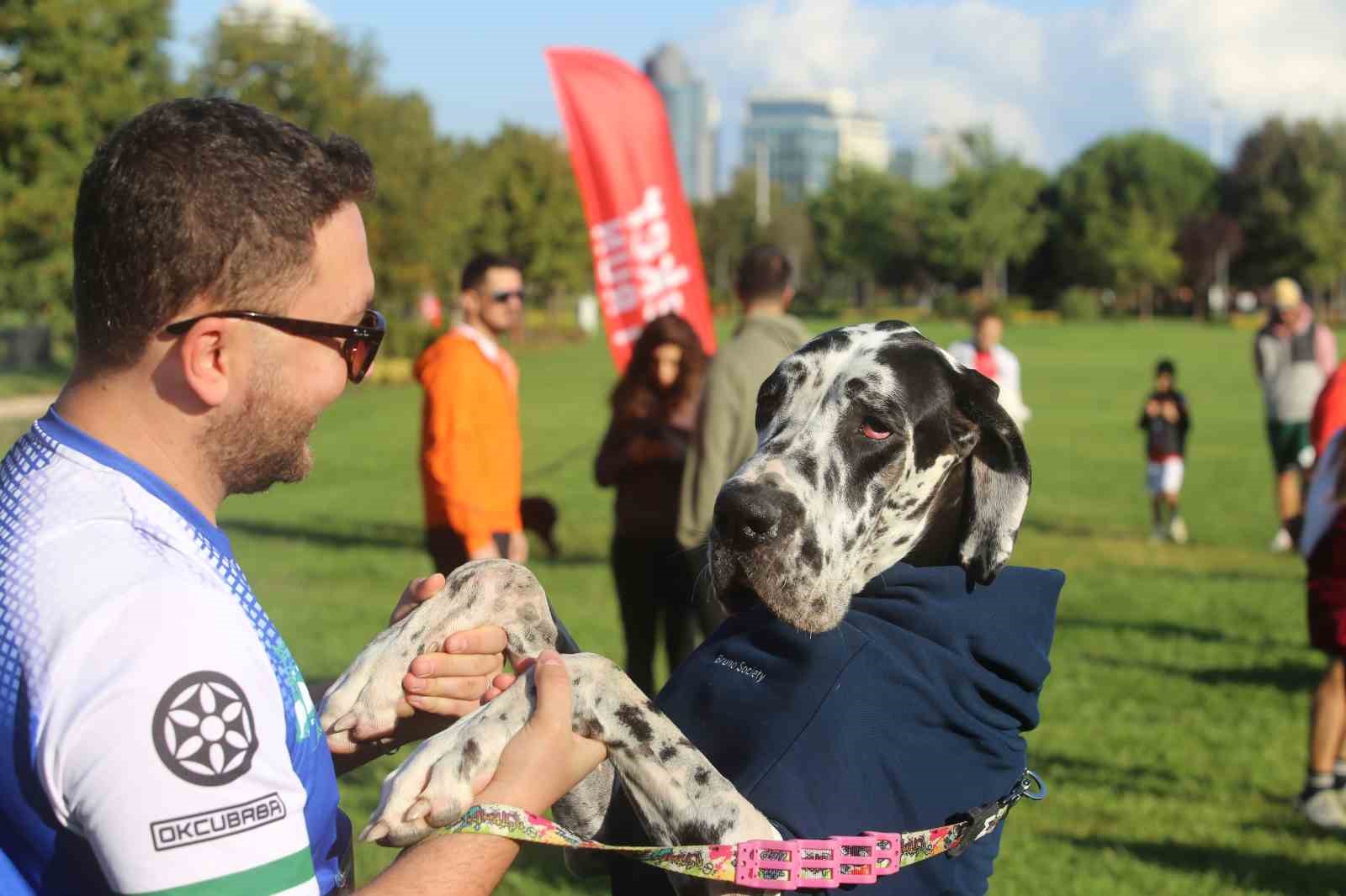 BURSA'DA BU YIL 13'ÜNCÜSÜ DÜZENLENEN EKER I RUN KAPSAMINDA İLK KEZ GERÇEKLEŞTİRİLEN "KÖPEĞİNLE KOŞ" ETKİNLİĞİ, YÜZLERCE HAYVANSEVER İLE PATİLİ DOSTLARINI AYNI PARKURDA BULUŞTURDU.