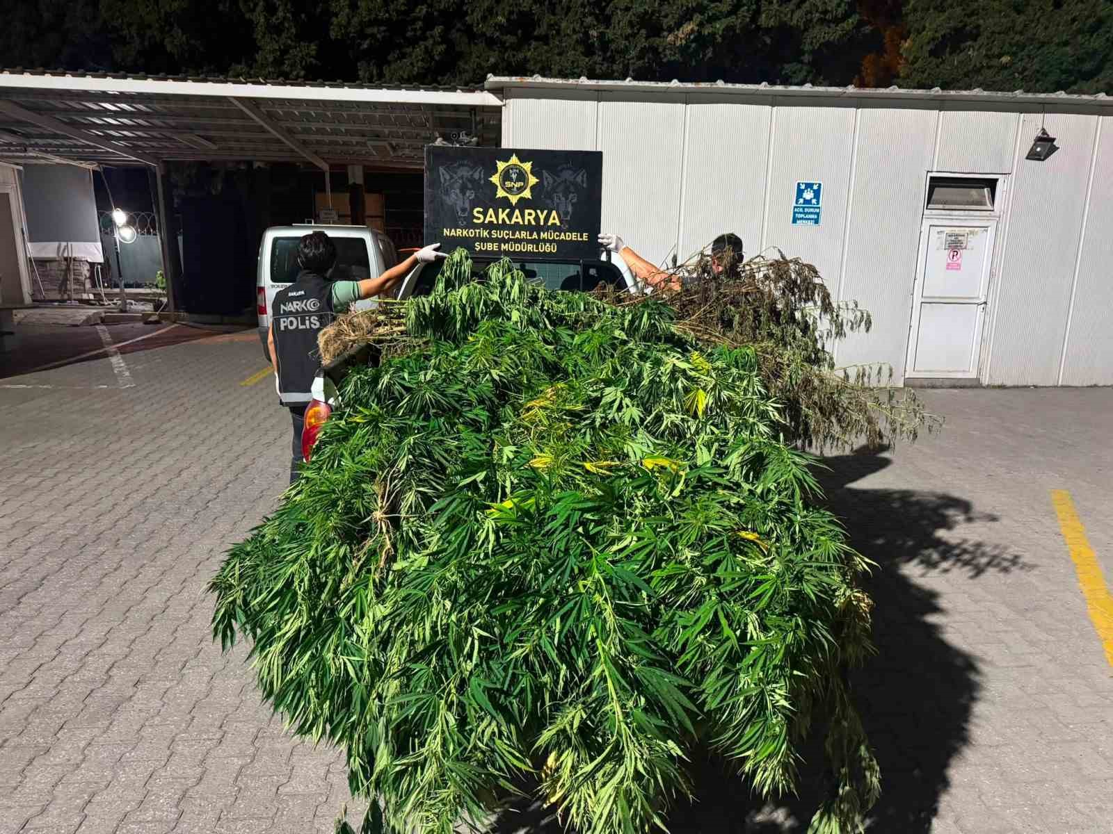 SAKARYA’NIN KARASU İLÇESİNDE POLİS EKİPLERİNCE DÜZENLENEN UYUŞTURUCU OPERASYONUNDA 50 KÖK HİNT KENEVİRİ İLE KURUTULMAYA BIRAKILMIŞ 10 KİLO 100 GRAM ESRAR MADDESİ ELE GEÇİRİLDİ.