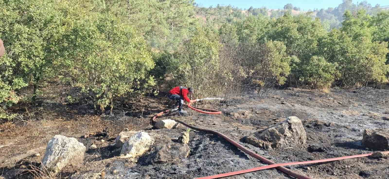 EMET’TE DAĞLIK ALANDA ORMAN YANGINI