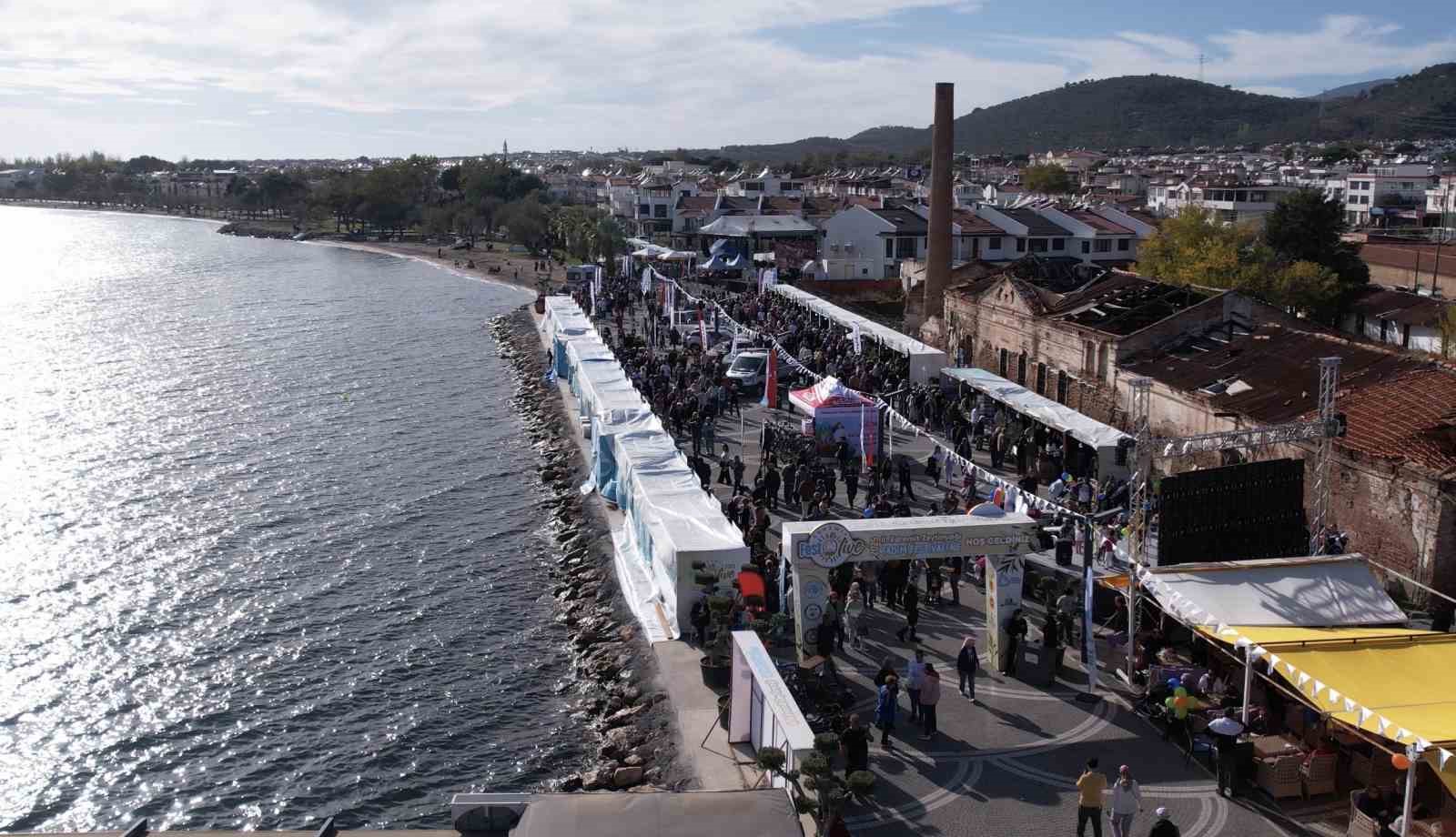 FESTOLİVE EDREMİT ZEYTİNYAĞI TADIM FESTİVALİ (ARŞİV)