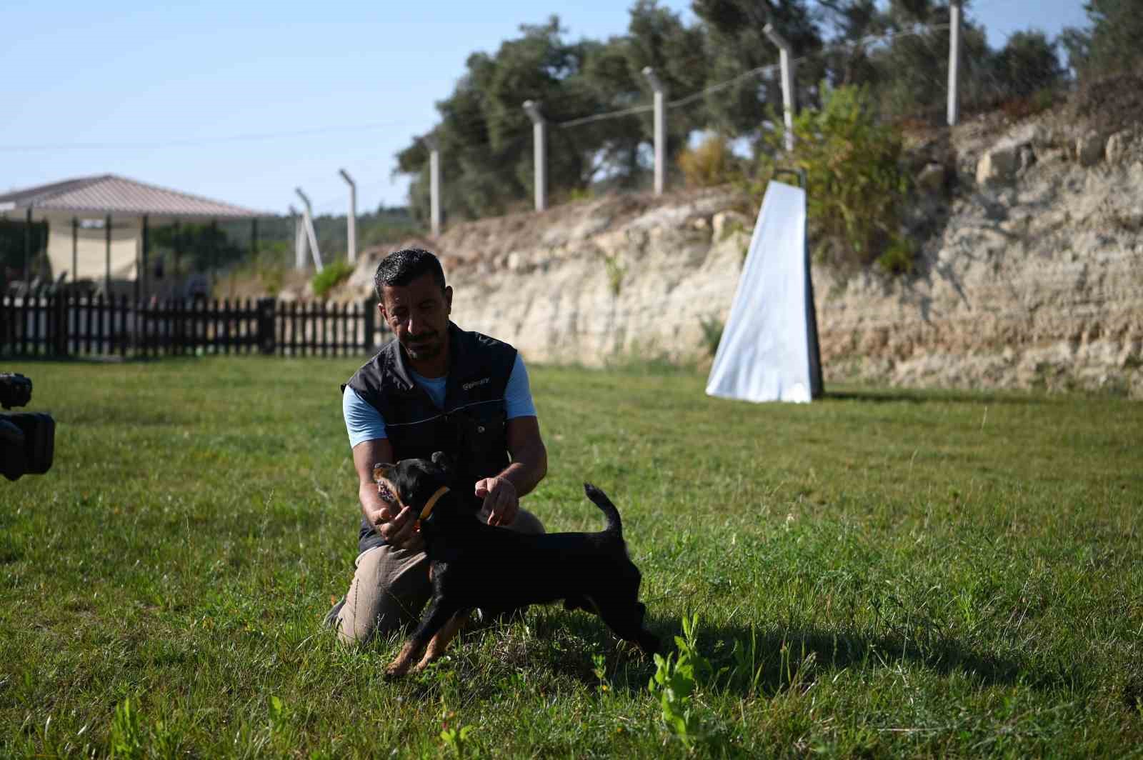 TEVFİK GÜL (45)