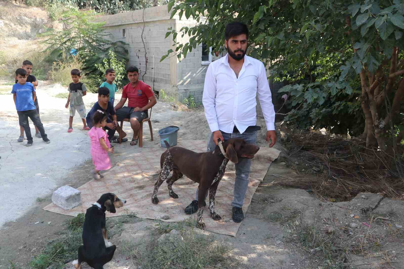 ADANA’DA BİR ÇİFTÇİNİN KÖPEĞİ, KOMŞUSU TARAFINDAN SOPAYLA DARBEDİLDİ. KÖPEĞİN SAHİBİ KOMŞUSUNDAN ŞİKAYETÇİ OLURKEN, OLAY GÜVENLİK KAMERASINA SANİYE SANİYE YANSIDI.