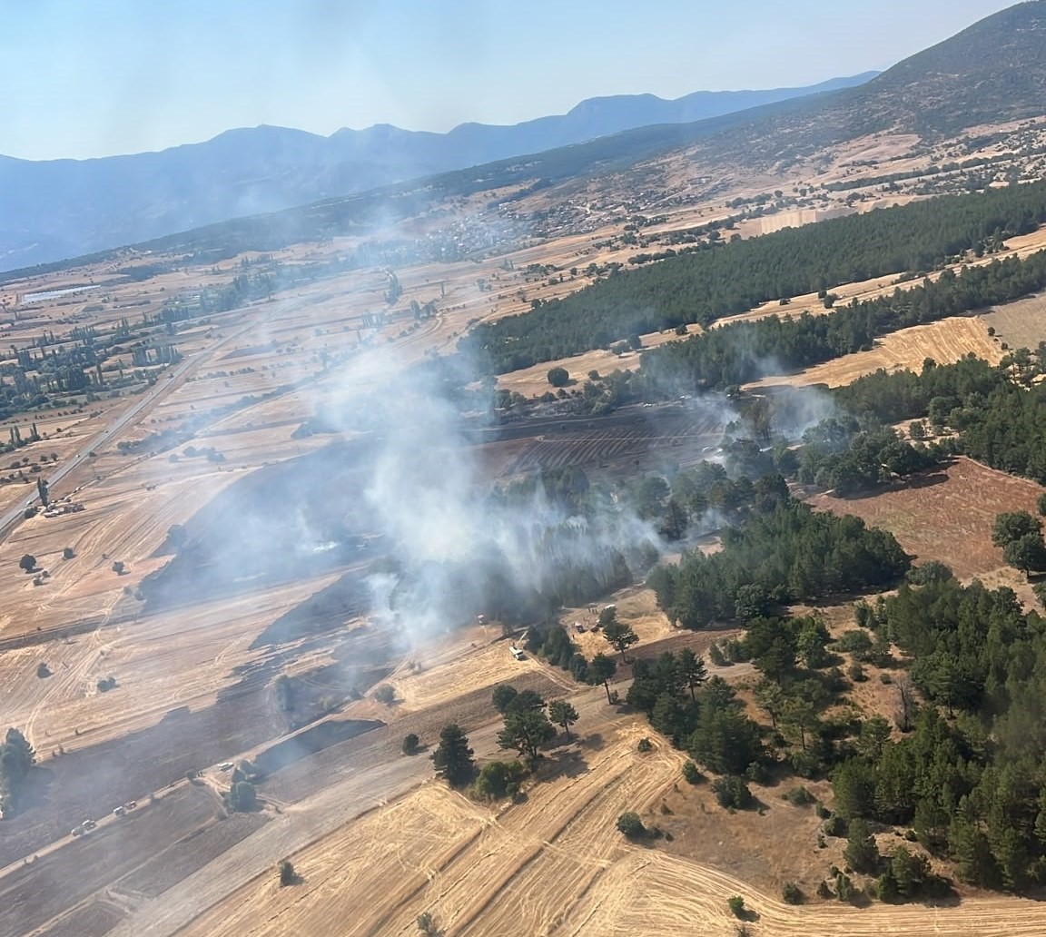 EMET’TE ORMANLIK ALANA SIÇRAYAN YANGIN KONTROL ALTINA ALINDI
