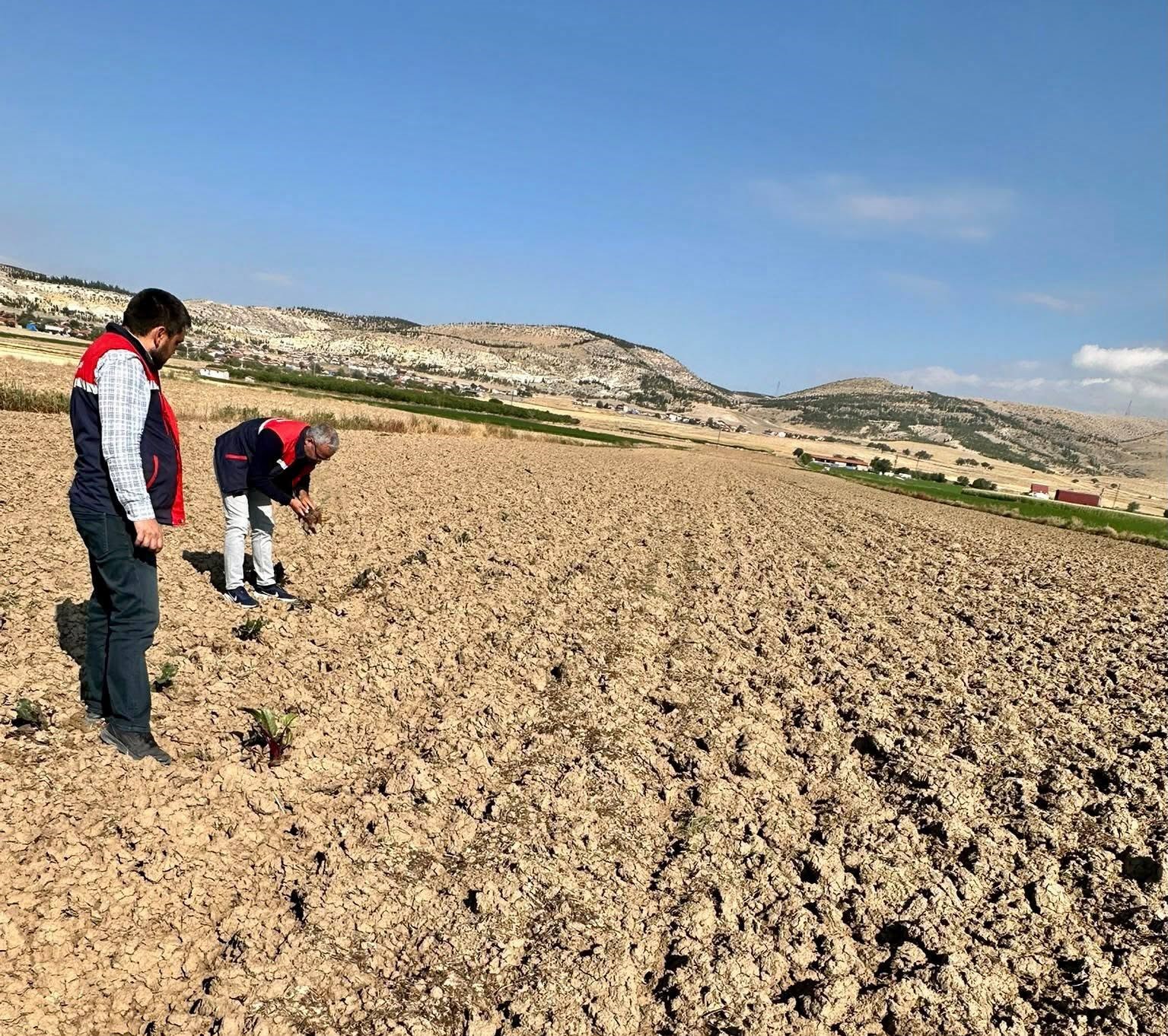 AFYONKARAHİSAR’IN BOLVADİN İLÇESİNDE TARIMSAL ÜRETİM ALANLARININ MEVCUT DURUMUNUN BELİRLENMESİ VE TARIMSAL VERİLERİN SAHADAKİ FİİLİ DURUMLA UYUMUNUN DEĞERLENDİRİLMESİ AMACIYLA ARAZİ TESPİT ÇALIŞMALARI GERÇEKLEŞTİRİLİYOR.