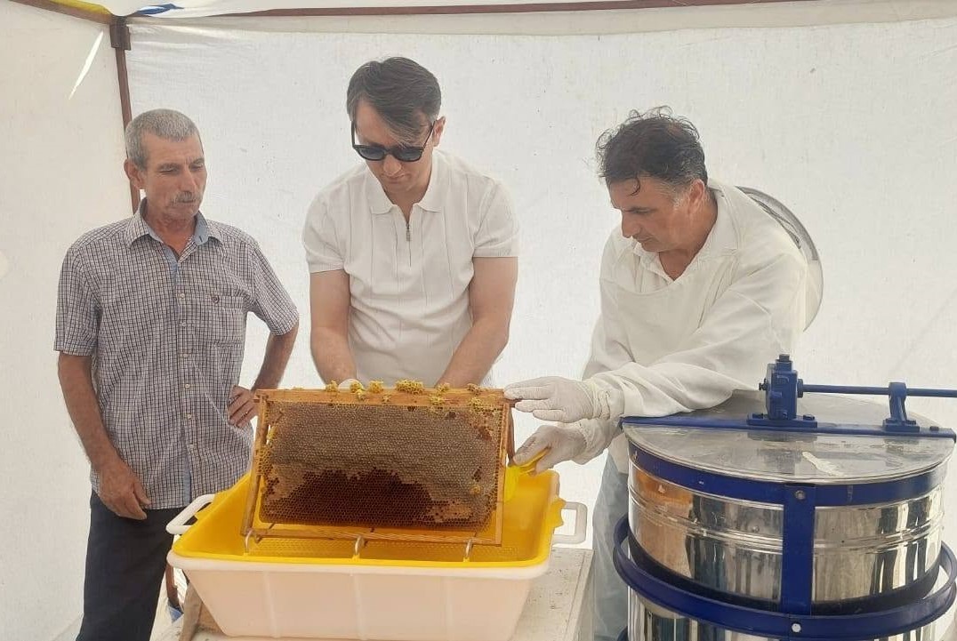 MANİSA’NIN SARUHANLI İLÇESİNDE KAYMAKAM FATİH ÖZCAN, HALİTPAŞA MAHALLESİ’NDE GERÇEKLEŞTİRİLEN BAL HASADINA KATILDI. SARUHANLI İLÇE TARIM VE ORMAN MÜDÜRÜ ALİ TUNÇEL’İN DE YER ALDIĞI HASATTA ÖZCAN, KOVANDAN BAL SAĞIMI VE SÜZME İŞLEMİNİ GERÇEKLEŞTİRİRKEN, TUNÇEL’DEN İLÇEDEKİ ARICILIK FAALİYETLERİ HAKKINDA BİLGİ ALDI.