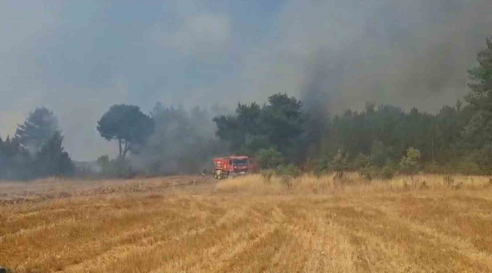 EMET’TE ORMANLIK ALANA SIÇRAYAN YANGIN KONTROL ALTINA ALINDI