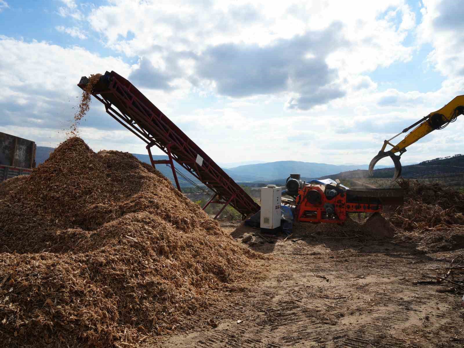 KASTAMONU’NUN ARAÇ İLÇESİNDE GEÇTİĞİMİZ YIL ÇIKAN VE 5 GÜN SÜREN ORMAN YANGININDA ZARAR GÖREN AĞAÇLAR, ORMANLIK ALANDAN ÇIKARTILARAK TALAŞ HALİNE GETİRİLİYOR.