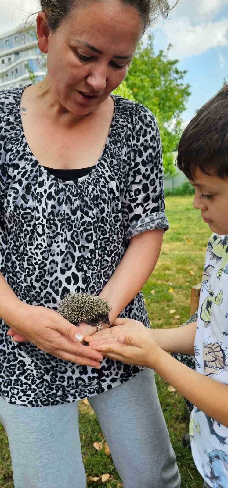 BOLU’DA BAHÇESİNDE MANGAL YAPAN VATANDAŞ, ÇİMLERİN ÜZERİNDE GÖRDÜĞÜ YAVRU KİRPİYİ TAVUK KANADIYLA BESLEDİ. KİRPİNİN VATANDAŞIN ELİNDEN ÇEKİNMEDEN YEMEK YEMESİ CEP TELEFONU KAMERASINA YANSIDI.