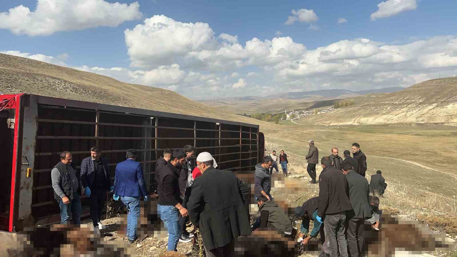 ERZURUM’UN TEKMAN İLÇESİNDE, KIŞ DÖNEMİ YETİŞTİRİCİLİĞİ İÇİN ŞANLIURFA’NIN SİVEREK İLÇESİNE SEVK EDİLEN KÜÇÜKBAŞ HAYVANLARI TAŞIYAN TIRIN DEVRİLMESİ SONUCU FECİ BİR KAZA MEYDANA GELDİ. KAZADA TIRDA BULUNAN 300 KÜÇÜKBAŞ HAYVANDAN 130'U TELEF OLDU.