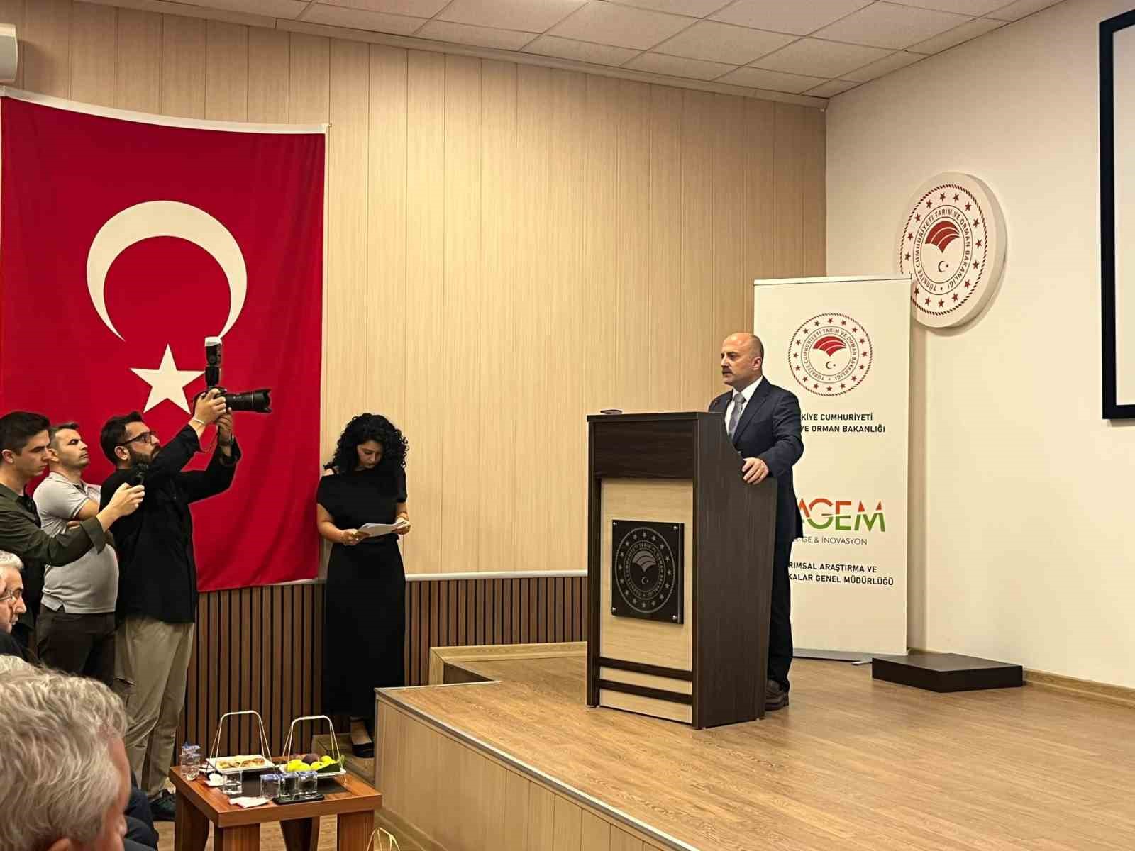 AYDIN’IN DÜNYACA ÜNLÜ İNCİRİNİN GELECEĞİNİN ELE ALINDIĞI İNCİR ÇALIŞTAYI, İNCİR ARAŞTIRMA ENSTİTÜSÜ’NDE BAŞLADI. ÜÇ GÜN SÜRECEK ÇALIŞTAYDA İKLİM DEĞİŞİKLİĞİ, KURAKLIK, MİKOTOKSİNLER, ÜRETİM, İHRACAT VE SÜRDÜRÜLEBİLİR İNCİR YETİŞTİRİCİLİĞİ MASAYA YATIRILIYOR.