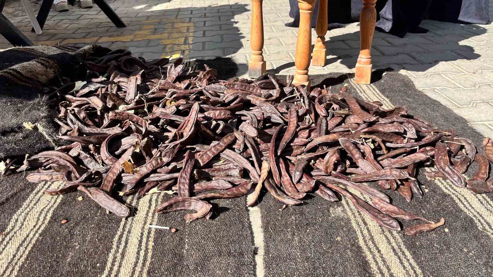 ALANYA’DA BU YIL İKİNCİSİ DÜZENLENEN KEÇİBOYNUZU HASAT ŞENLİĞİ, ÇEŞİTLİ ETKİNLİKLER, YÖRESEL ÜRÜN STANTLARI, YARIŞMALAR VE MÜZİK DİNLETİSİYLE GERÇEKLEŞTİRİLDİ. OBAALACAMİ MAHALLESİ’NDE DÜZENLENEN ŞENLİKTE, KEÇİBOYNUZUNDAN ÜRETİLEN PEKMEZ, UN VE ÇEŞİTLİ ÜRÜNLER KATILIMCILARIN BEĞENİSİNE SUNULDU. ŞENLİĞİN RENKLİ ETKİNLİKLERİNDEN BİRİ İSE “EN AĞIR KEÇİBOYNUZU” YARIŞMASI OLDU.
