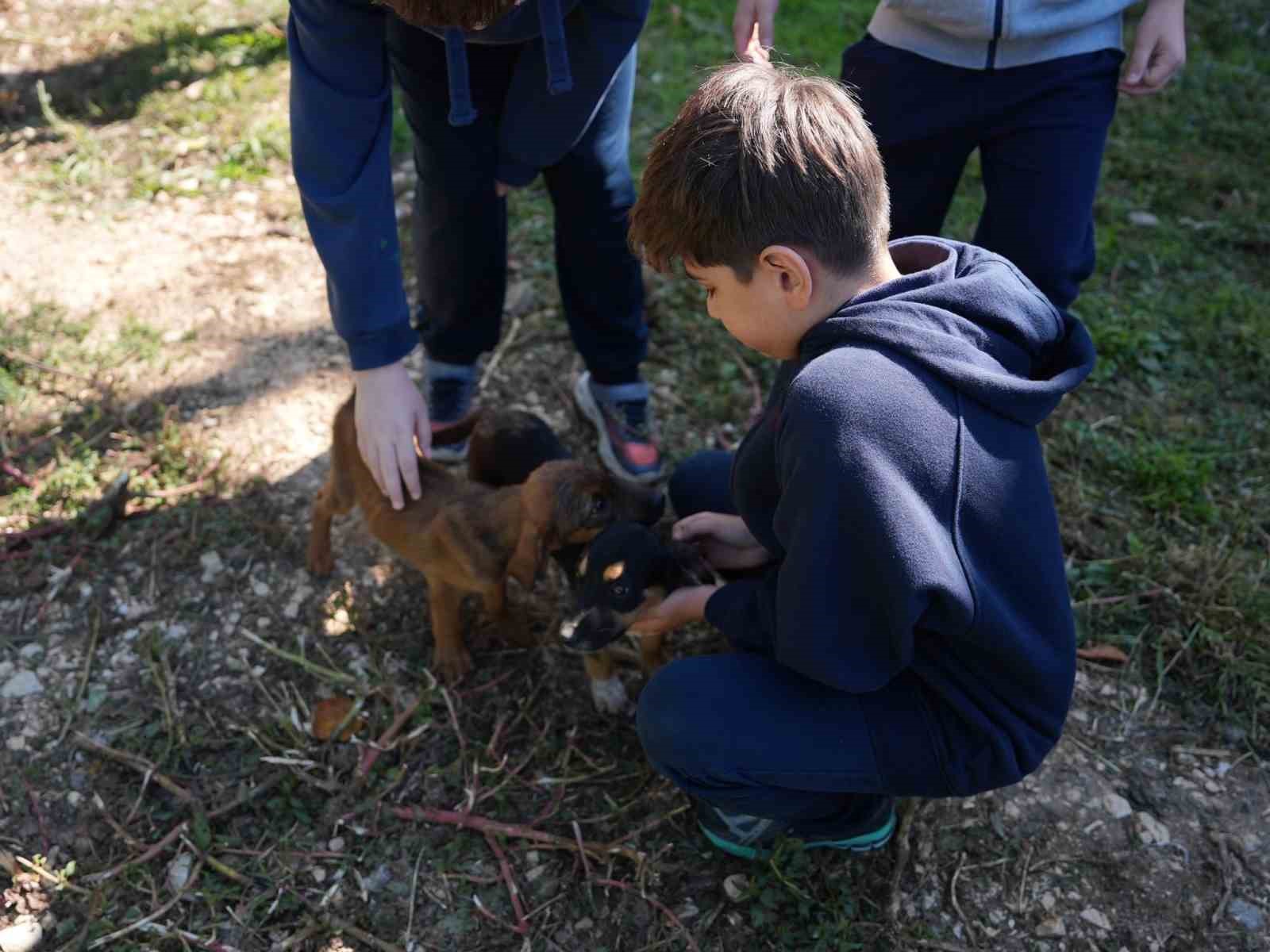 DÜZCE’DE ÇEŞİTLİ OKULLARDAN ÖĞRENCİLER, MERGİÇ HAYVAN KONUKEVİ’Nİ ZİYARET EDEREK BARINAKTAKİ HAYVANLARLA VAKİT GEÇİRDİ VE MAMA BAĞIŞINDA BULUNDU.