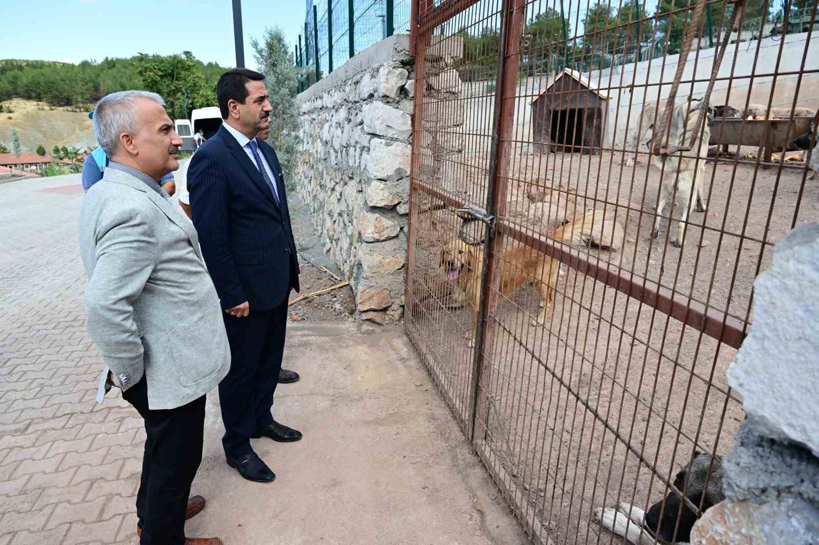BAŞKAN TAŞKIN, HAYVAN BARINAĞINDA İNCELEMELERDE BULUNDU