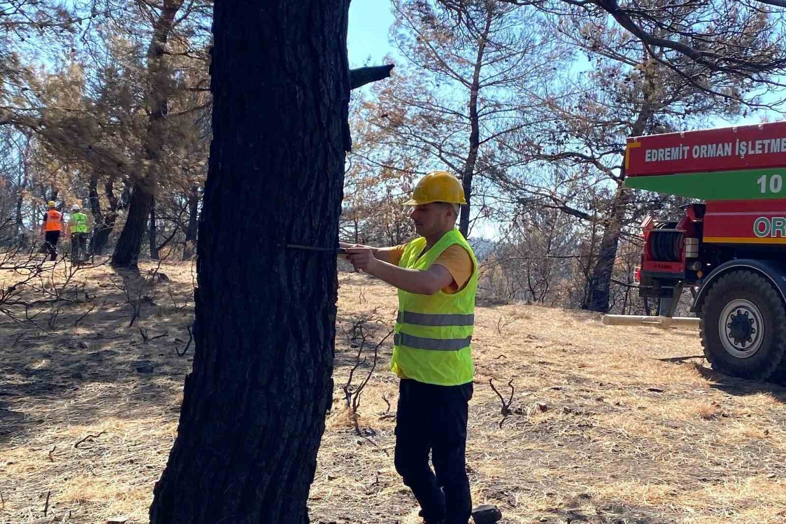 BALIKESİR ORMAN BÖLGE MÜDÜRLÜĞÜ, GÖMEÇ İLÇESİNDE MEYDANA GELEN YANGINDAN ETKİLENEN ORMANLIK ALANLARDA SAHA TESPİT VE TEMİZLİK ÇALIŞMALARINA BAŞLADI. ÇALIŞMALARIN ARDINDAN BÖLGENİN YENİDEN AĞAÇLANDIRILMASI HEDEFLENİYOR.