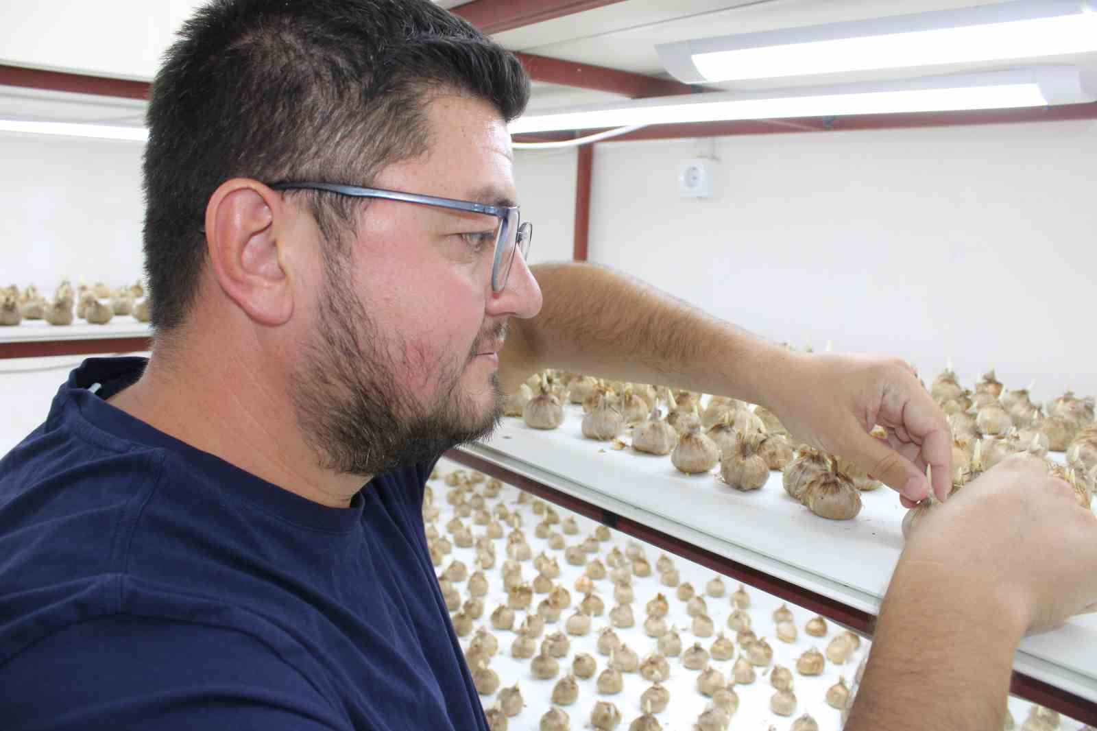 KAYSERİLİ GİRİŞİMCİ MUSTAFA DEMİR, KİLOGRAM FİYATI 900 BİN TL’YE, GRAM FİYATI İSE 900 TL’YE ULAŞAN SAFRANI KAYSERİ’DE İLK KEZ ÜRETMEYE BAŞLADI.