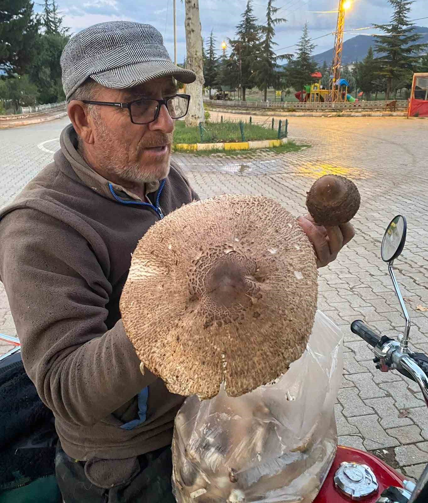 KONYA’NIN BEYŞEHİR İLÇESİNDE ARAZİDE MANTAR ARAYAN SADİ ÇETİN, KARŞILAŞTIĞI BÜYÜK MANTARLA ŞAŞKINLIK YAŞADI.