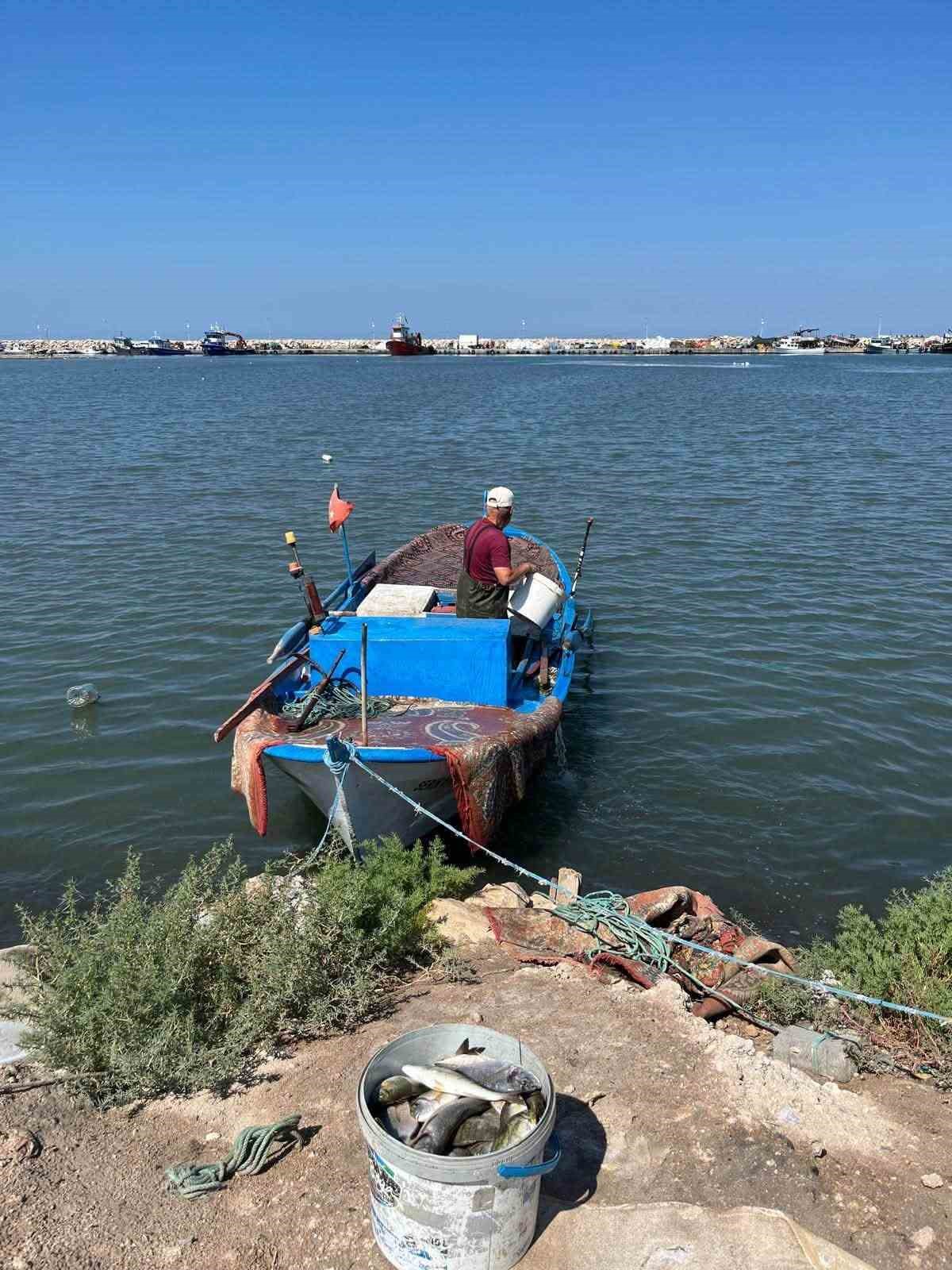 DİDİM İLÇE TARIM VE ORMAN MÜDÜRLÜĞÜ EKİPLERİNCE GERÇEKLEŞTİRİLEN DENETİMLERDE BALIKÇILARA MEVZUAT VE TEBLİĞLER HAKKINDA BİLGİLENDİRME YAPILARAK BELGE VE ÜRÜN KONTROLLERİ GERÇEKLEŞTİRİLDİ.