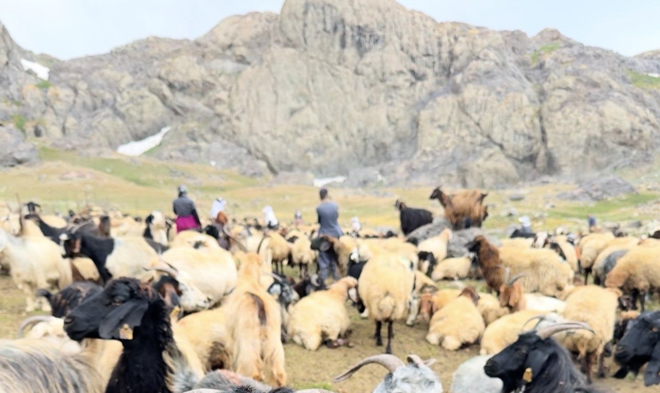 HAKKARİ’NİN YÜKSEKOVA İLÇESİNDE 22 DOĞASEVER, 3 BİN 500 RAKIMLI İKİYAKA DAĞLARI’NDAKİ SAT GÖLLERİ'NE DOĞA YÜRÜYÜŞÜ GERÇEKLEŞTİRDİ.
