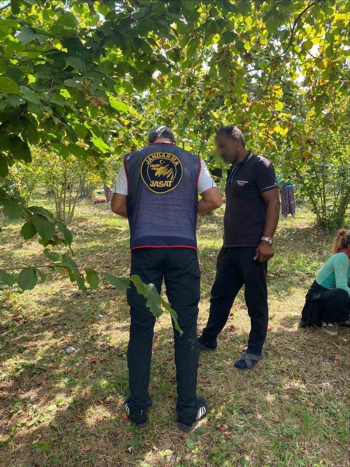 KOCAELİ İL JANDARMA KOMUTANLIĞI EKİPLERİ, FINDIK HASADI DÖNEMİNDE TARLALARDA YAŞANABİLECEK HIRSIZLIK OLAYLARININ ÖNÜNE GEÇMEK AMACIYLA KANDIRA’DA 7 GÜN 24 SAAT DENETİM GERÇEKLEŞTİRİYOR.