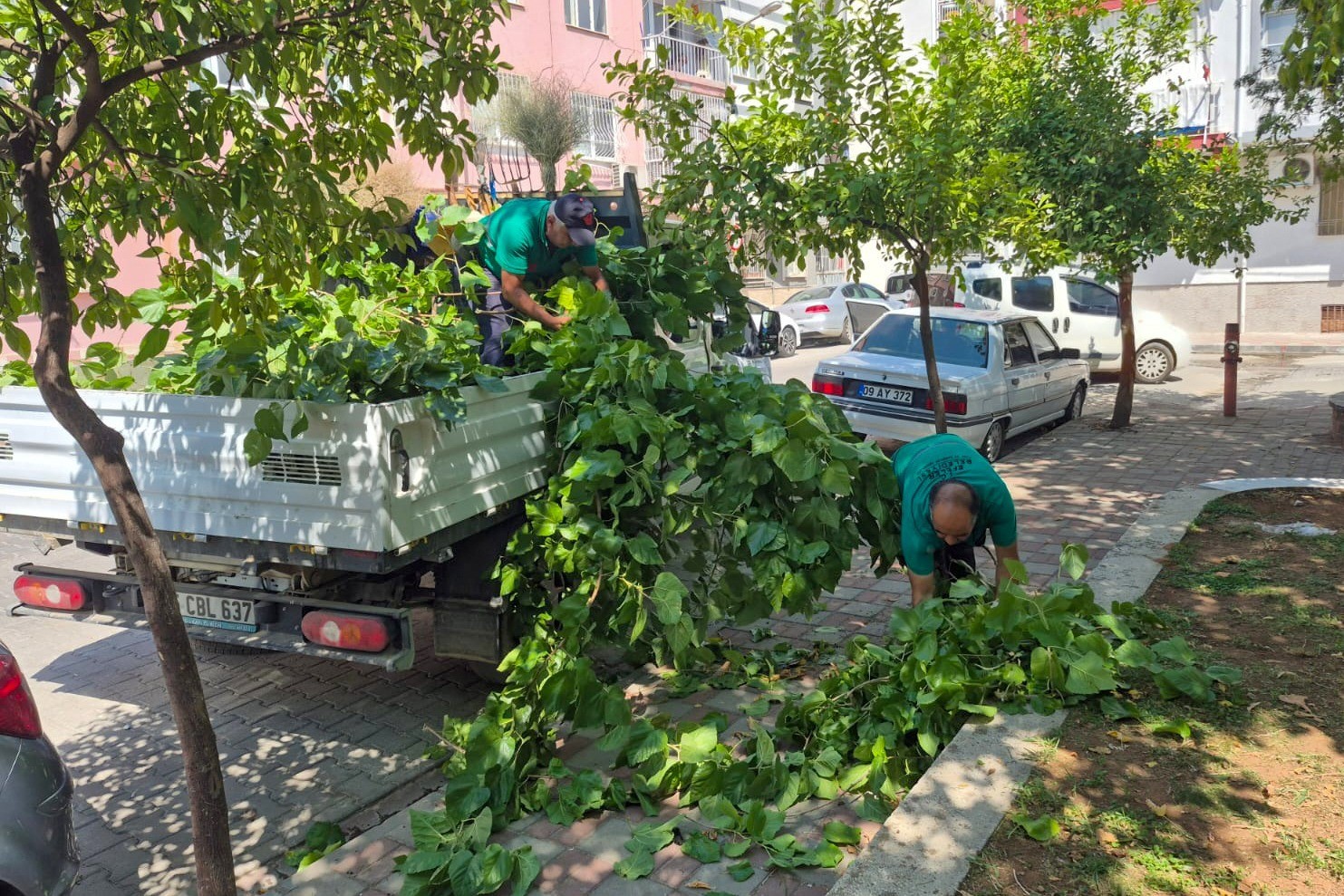 EFELER BELEDİYESİ PARK VE BAHÇELER MÜDÜRLÜĞÜ EKİPLERİ, VATANDAŞLARIN DAHA TEMİZ, DÜZENLİ VE BAKIMLI YEŞİL ALANLARDAN YARARLANABİLMESİ İÇİN ÇALIŞMALARINA DEVAM EDİYOR.