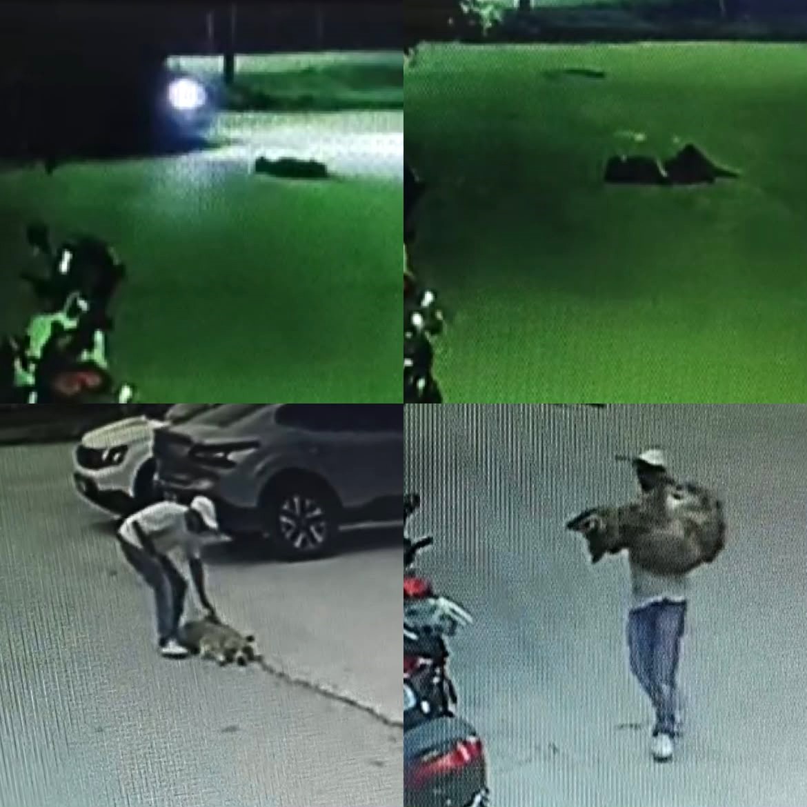 MERSİN'İN SİLİFKE İLÇESİNDE OTOMOBİLLE EZİLEN SAHİPLİ KÖPEK TEDAVİ ALTINA ALINDI ANCAK BİR HAFTA SONRA ÖLDÜ. KÖPEĞİ EZEN İÇİNDE 3 KİŞİNİN OLDUĞU OTOMOBİLİN O ANLARI İSE KAMERAYA YANSIDIĞI ORTAYA ÇIKTI.