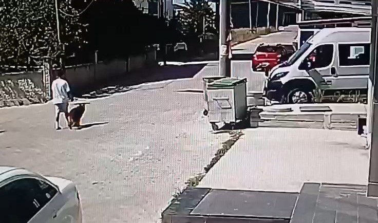 TEKİRDAĞ’IN KAPAKLI İLÇESİNDE KÖPEĞİNİ GEZDİRMEK İSTEYEN GENÇ, SOKAKTA BULUNAN BAŞKA BİR KÖPEĞİN SALDIRISINA UĞRADI. OLAY GÜVENLİK KAMERALARI TARAFINDAN ANBEAN KAYDEDİLDİ.