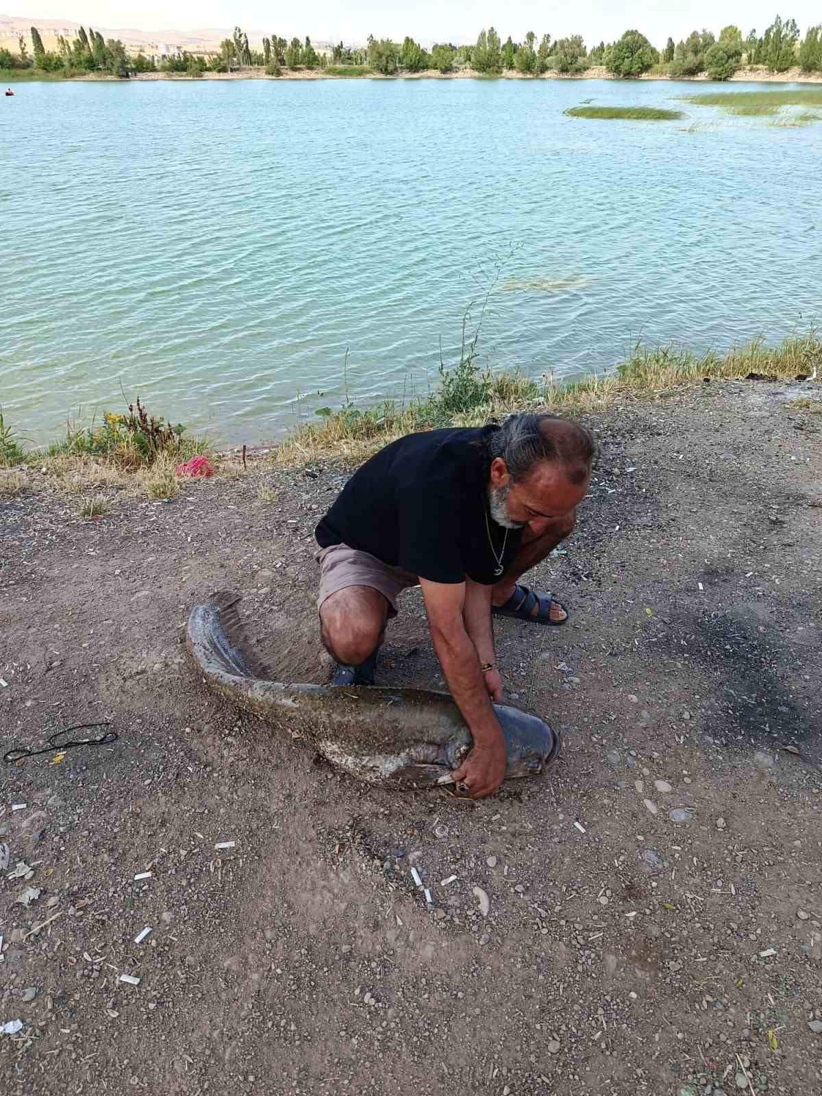 SİVAS SERPİNCİK GÖLETİNDE BALIK TUTMAYA GİDEN AHMET BIÇAKÇIGİL UNUTULMAYACAK BİR DENEYİM YAŞADI. OLTASINA TAKILAN 1,5 METRELİK YAYIN BALIĞI GÖRENLERİ ŞAŞIRTTI.